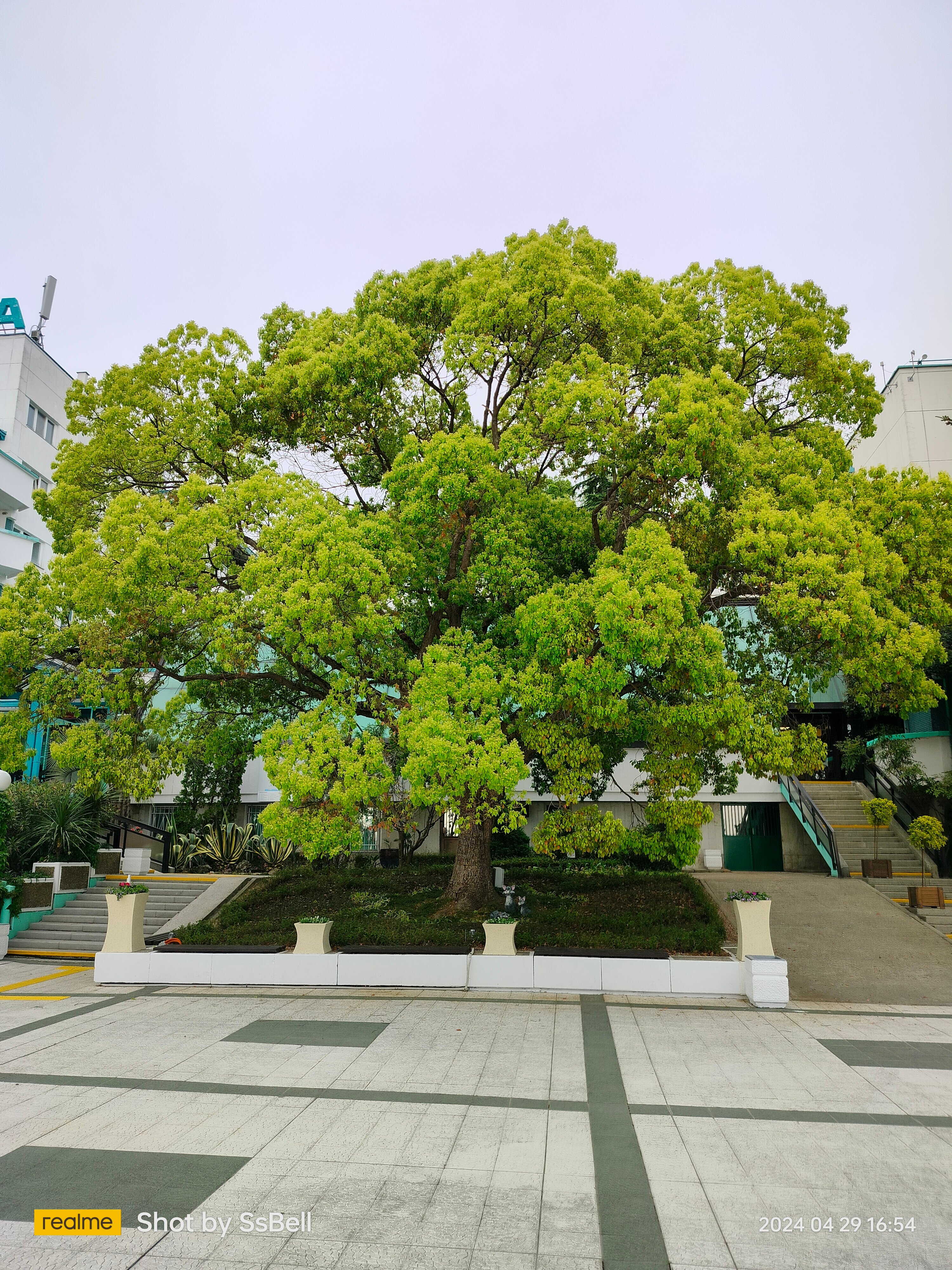 Фото Azimut Здоровье Ивушка