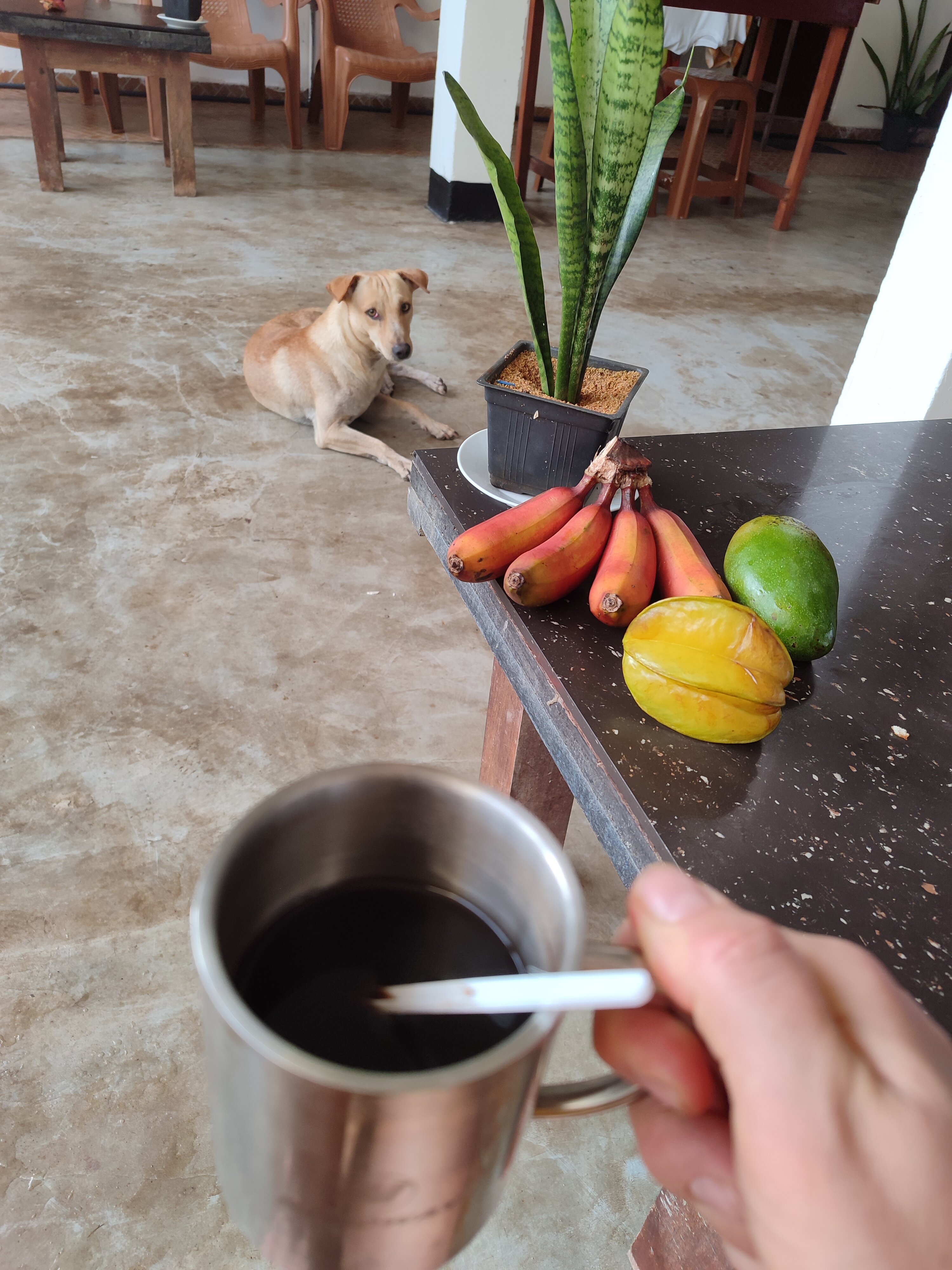 Фото Hansa Surf Hotel