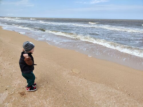 Konuk evi Sea Nearby, Krasnodarski krayı, foto