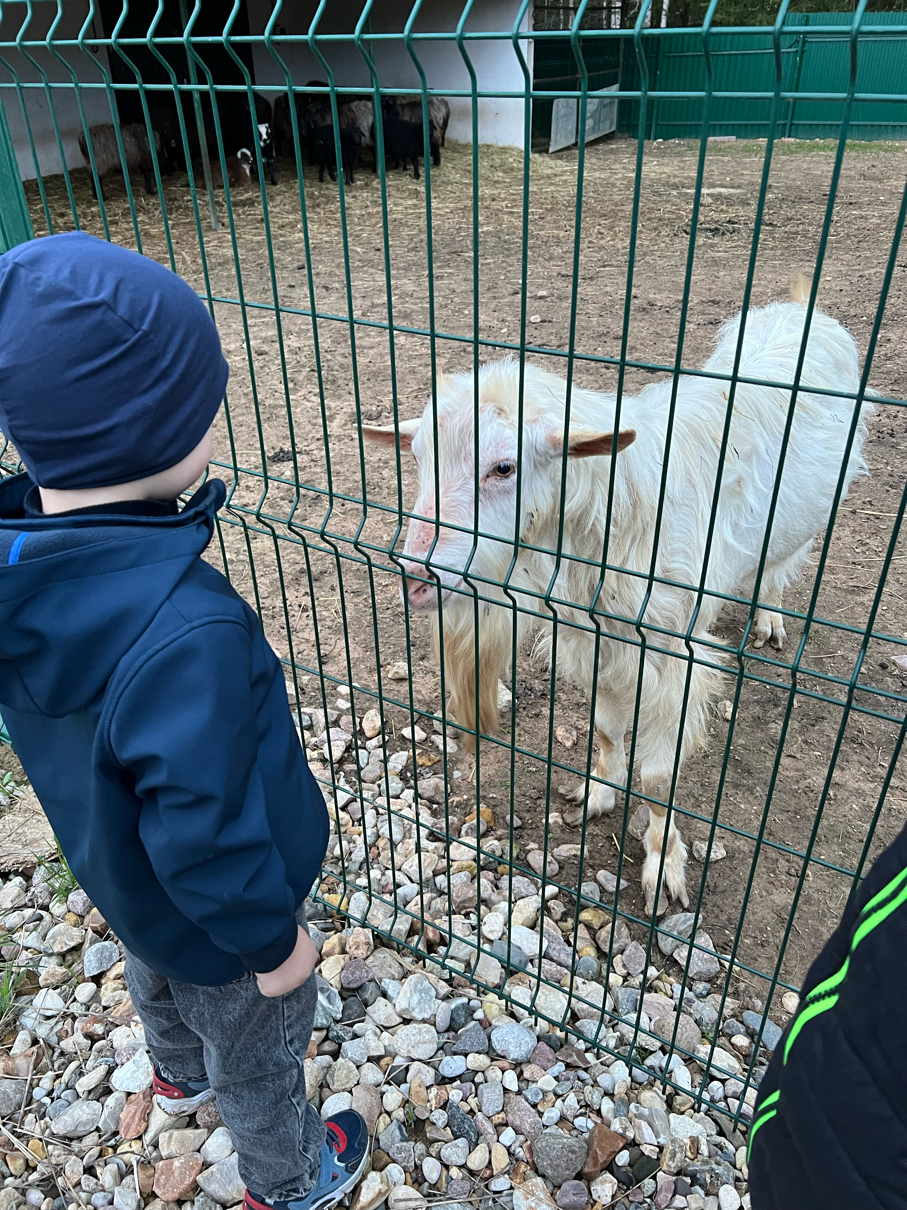 Фото Ферма моей мамы