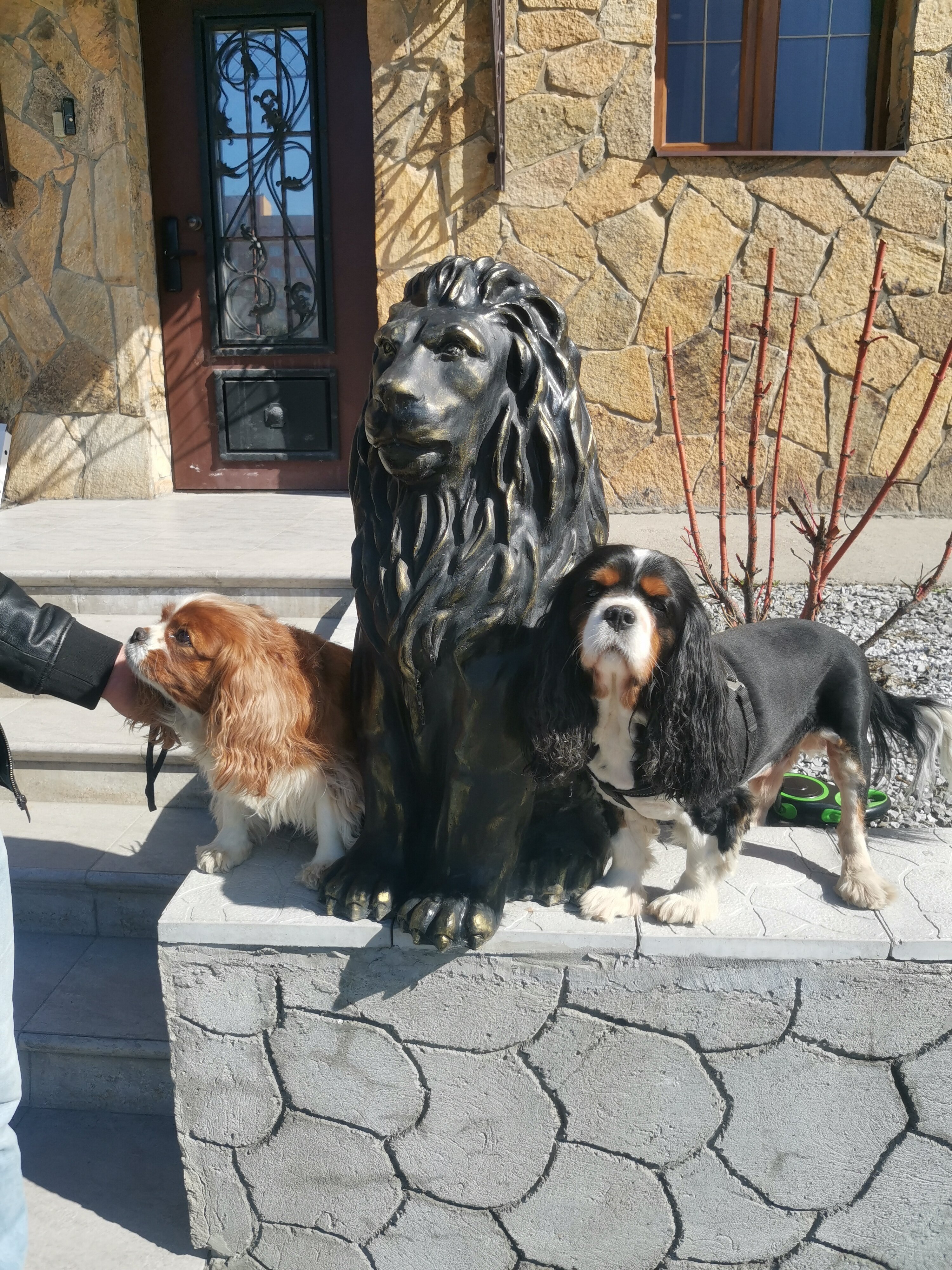 Фото Гостевой дом на Суконной Слободе