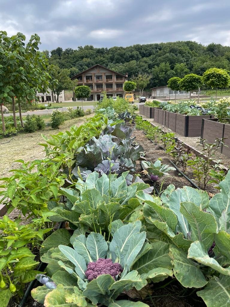 Фото Оленья ферма