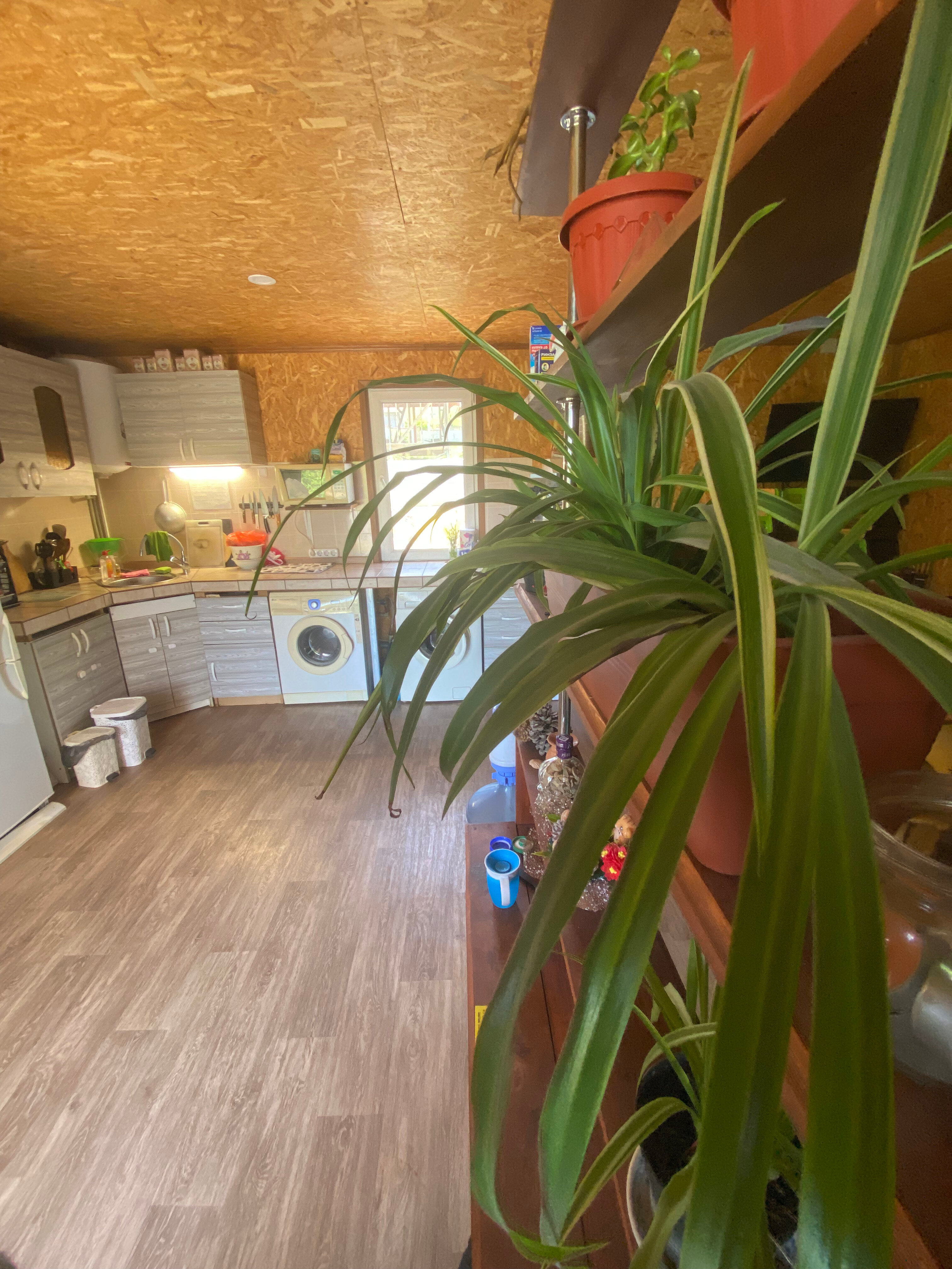 Фото Горный