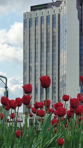 Гостиница Холидей Инн Москва Сокольники в Москве