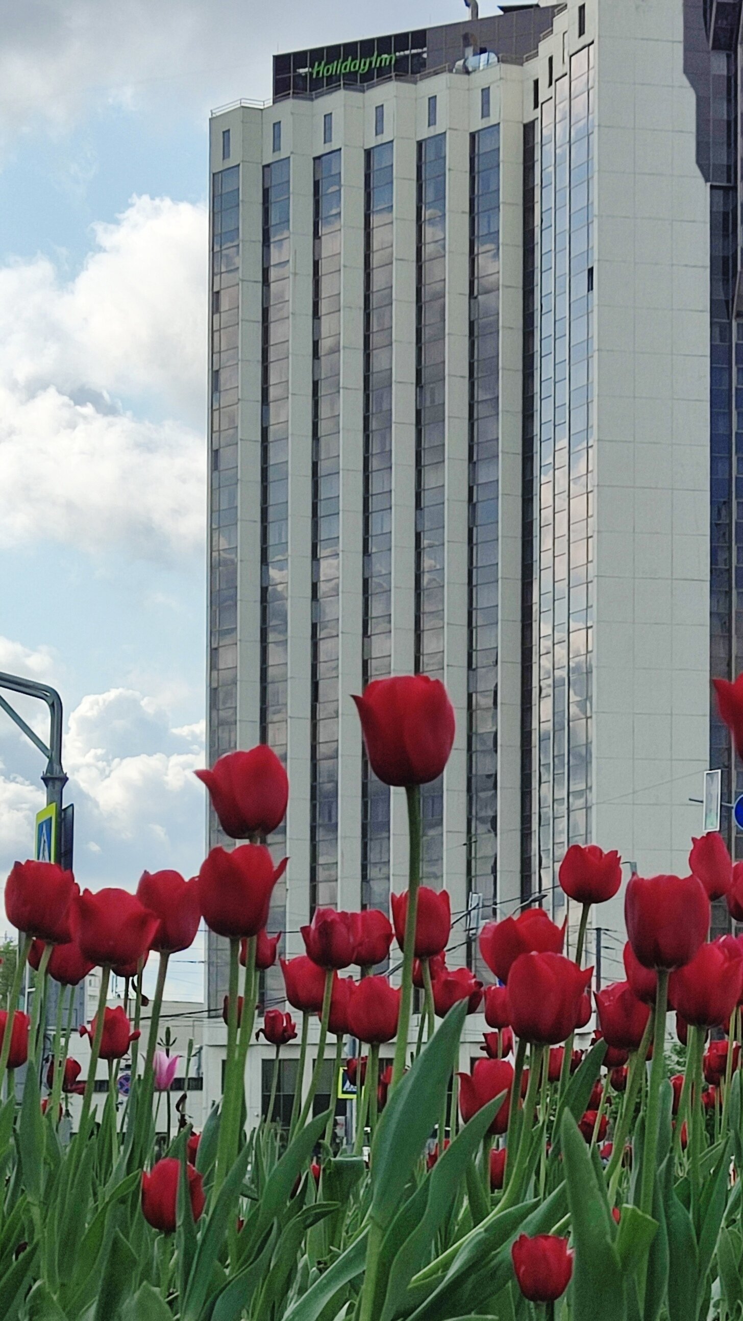 Фото Холидей Инн Москва Сокольники