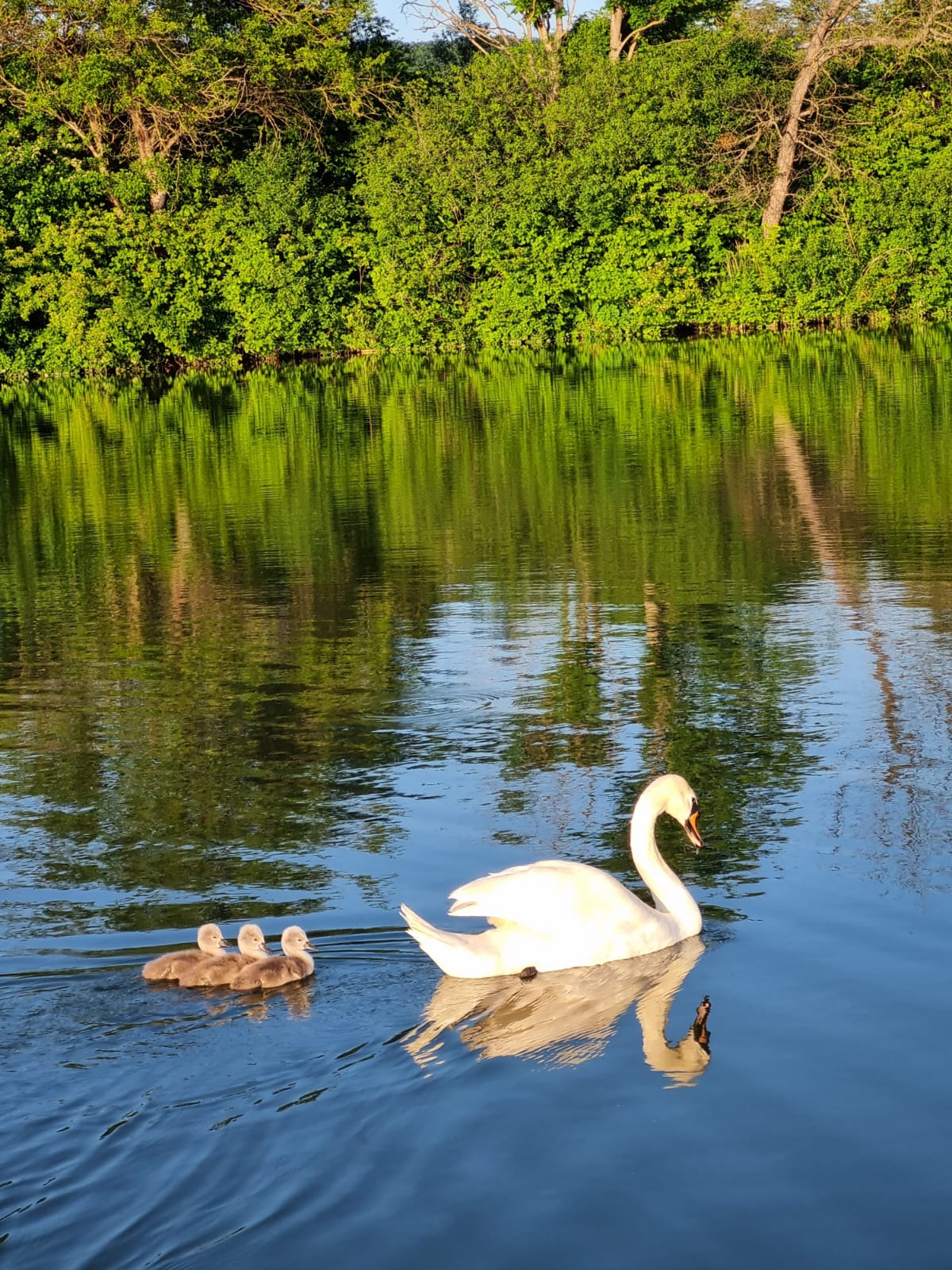 Фото Турист