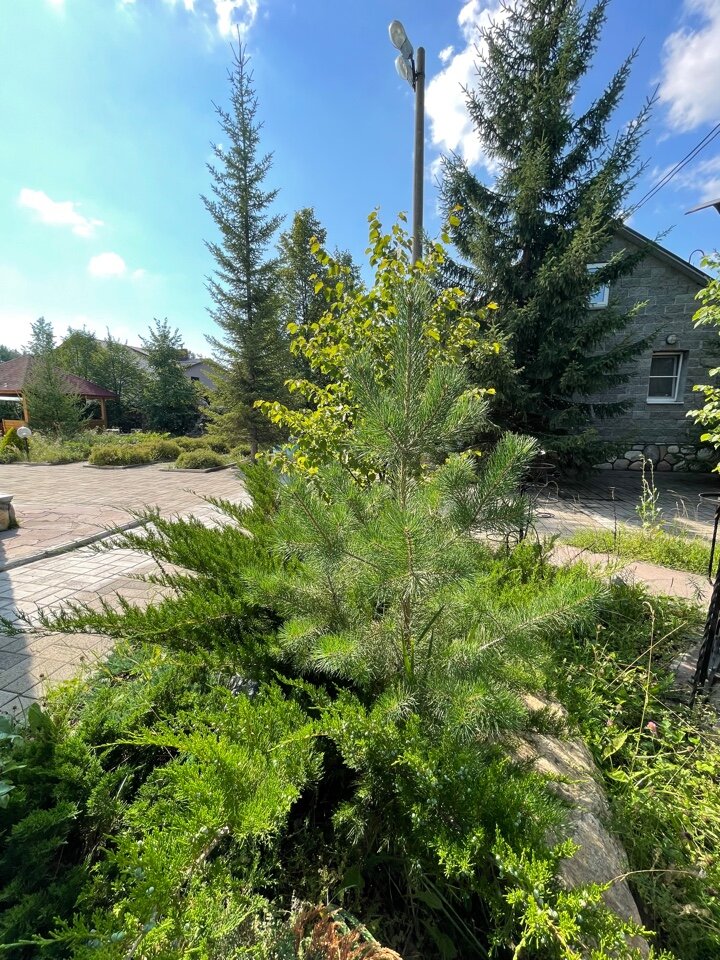 Фото Арслан