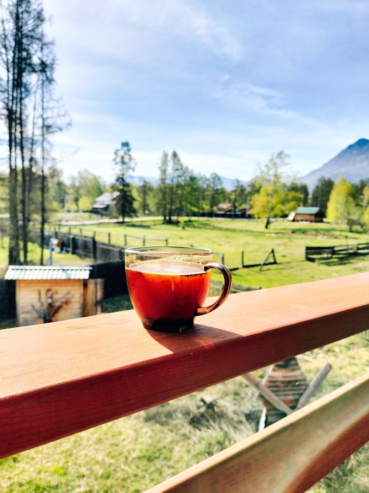 Фото Мультинское раздолье