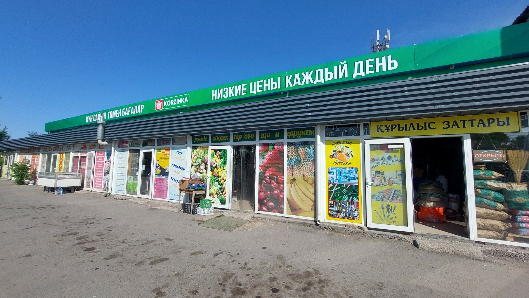 Жетілген аналардың кискисі