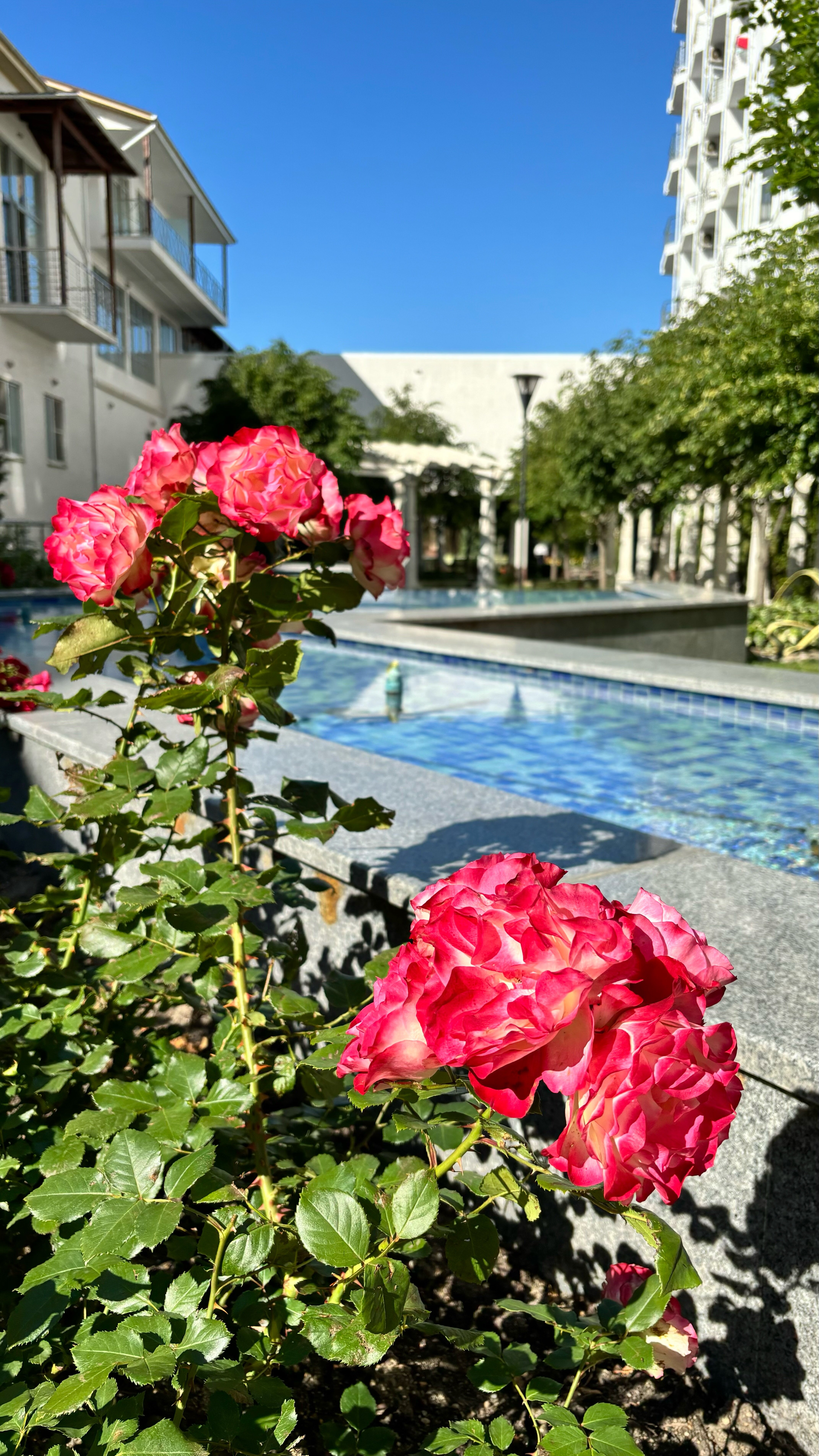 Фото Красная Талка