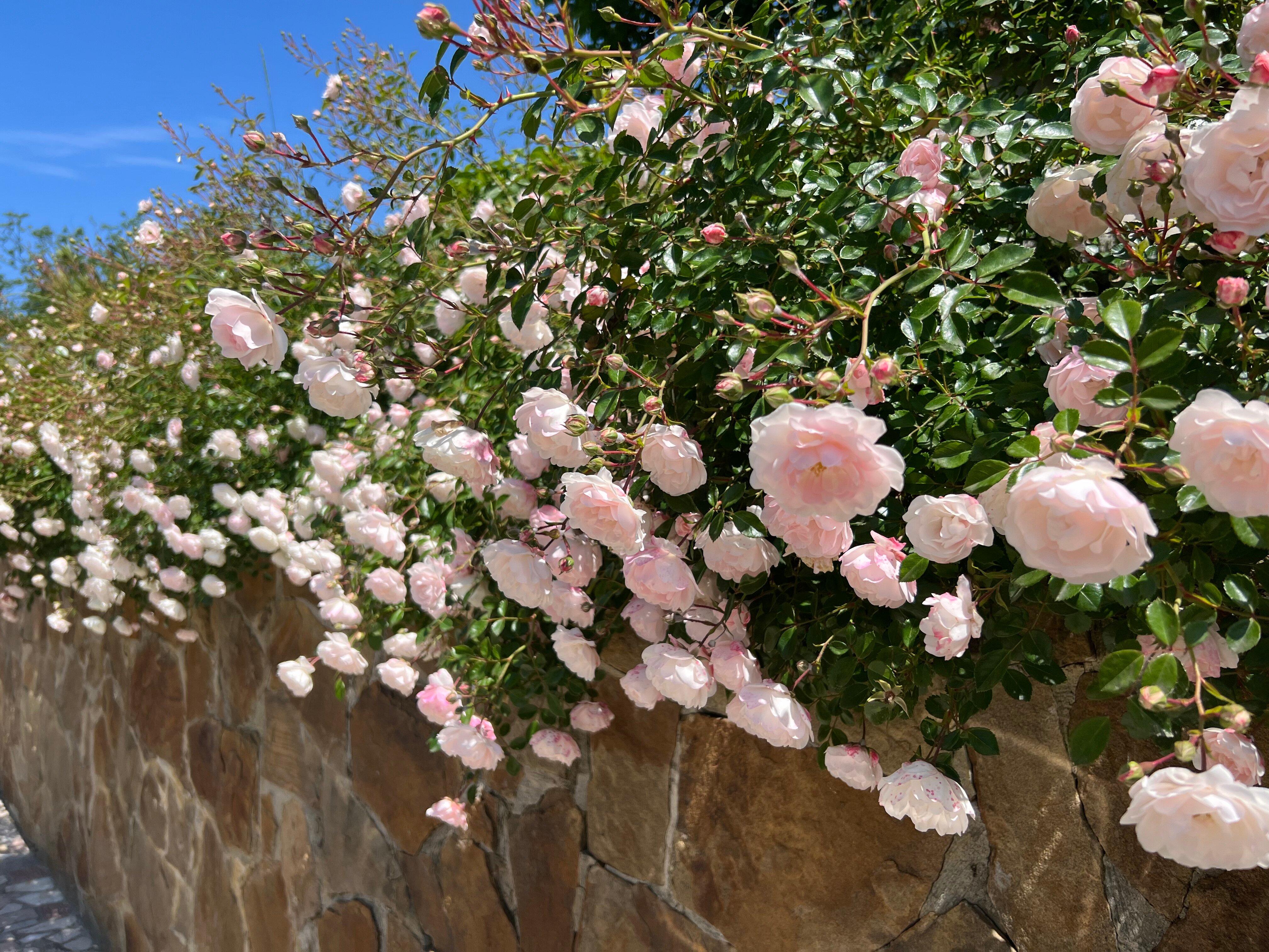 Фото Spatium Wellness Center