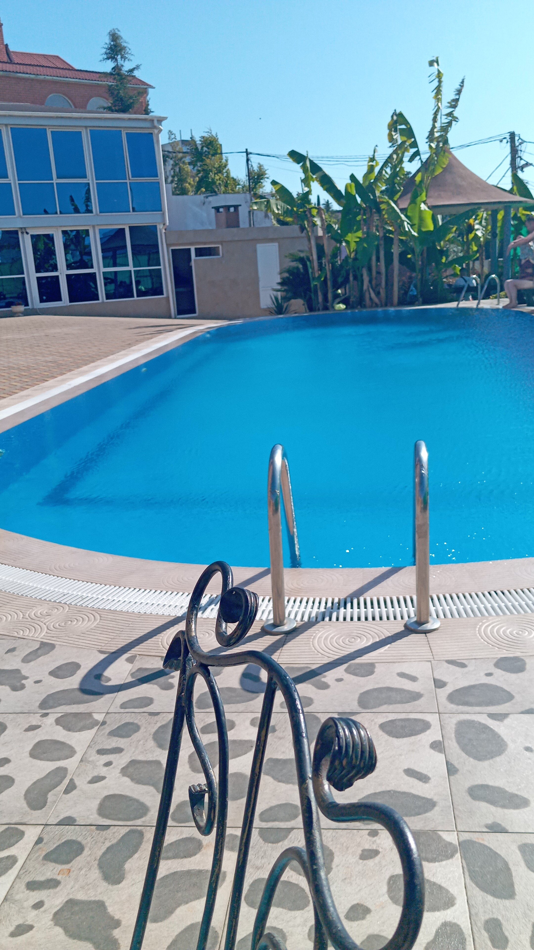 Фото Эдельвейс