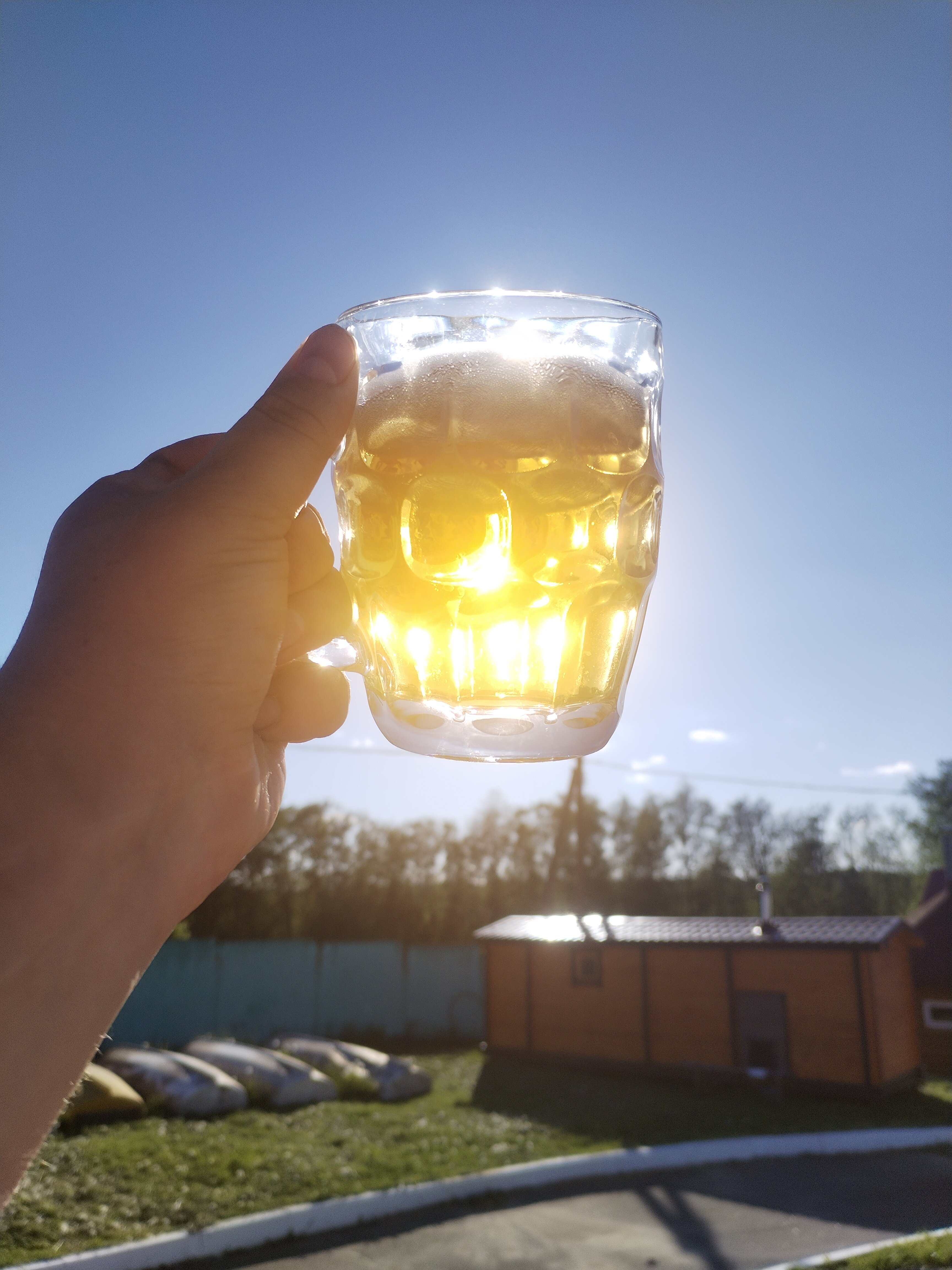 Фото Рутавечь