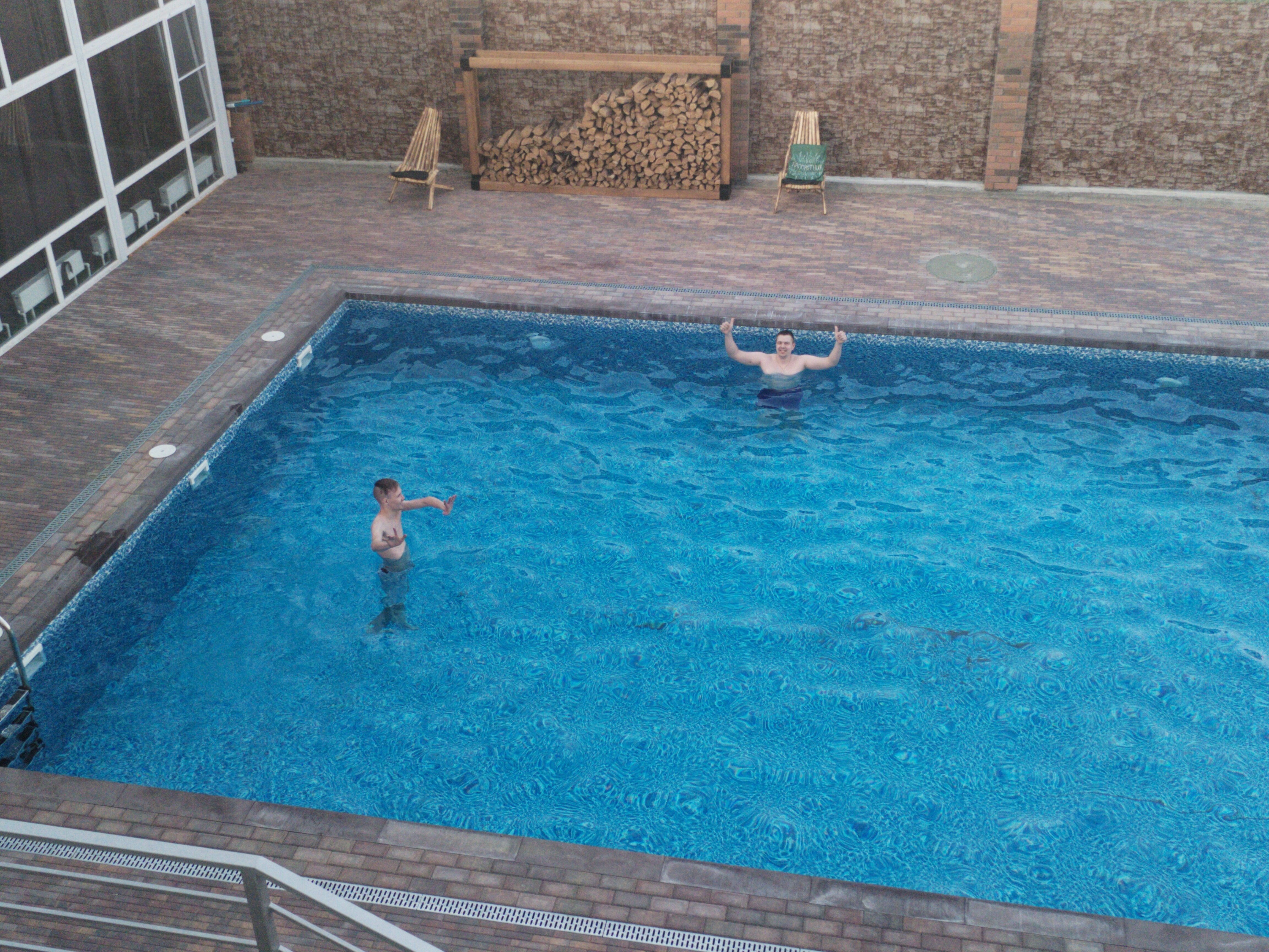 Фото Папоротник