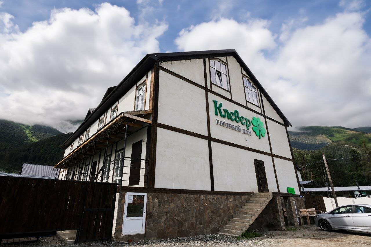 Фото Клевер