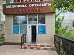 Avicenna (Kúnshyǵys móltek aýdany, 66), pharmacy