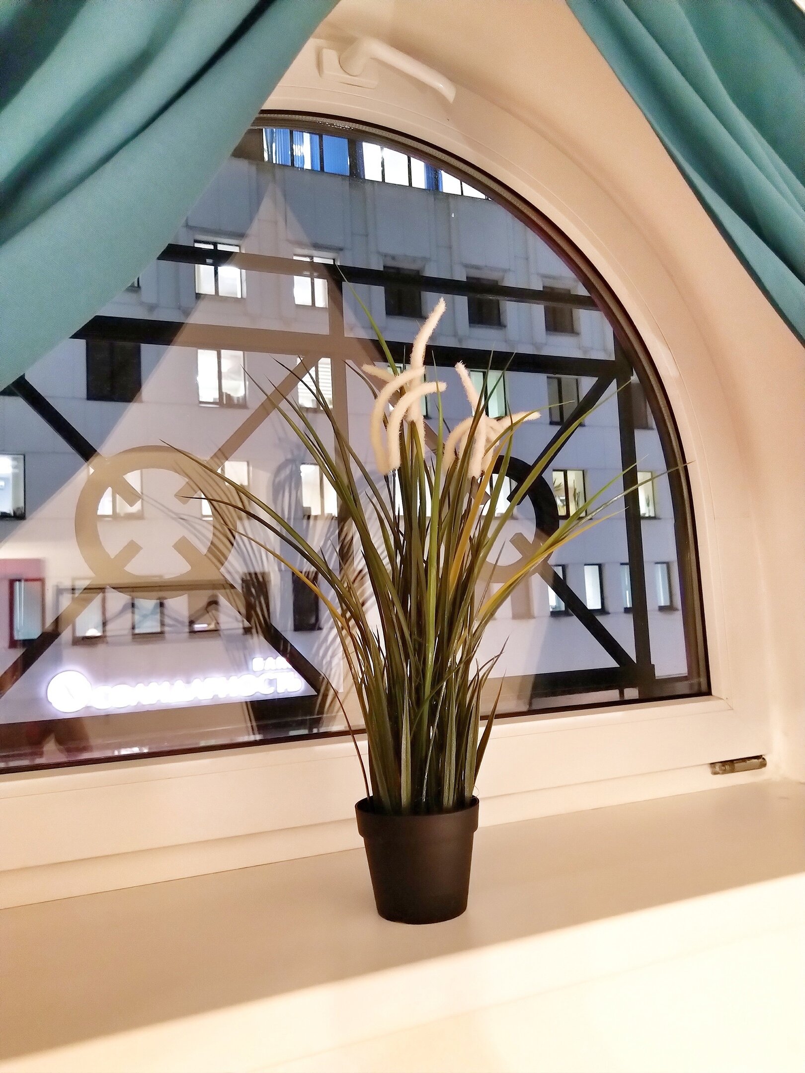 Фото Петя и Волк