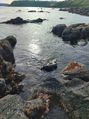 Дом в аренду Островок в Южно-Курильске