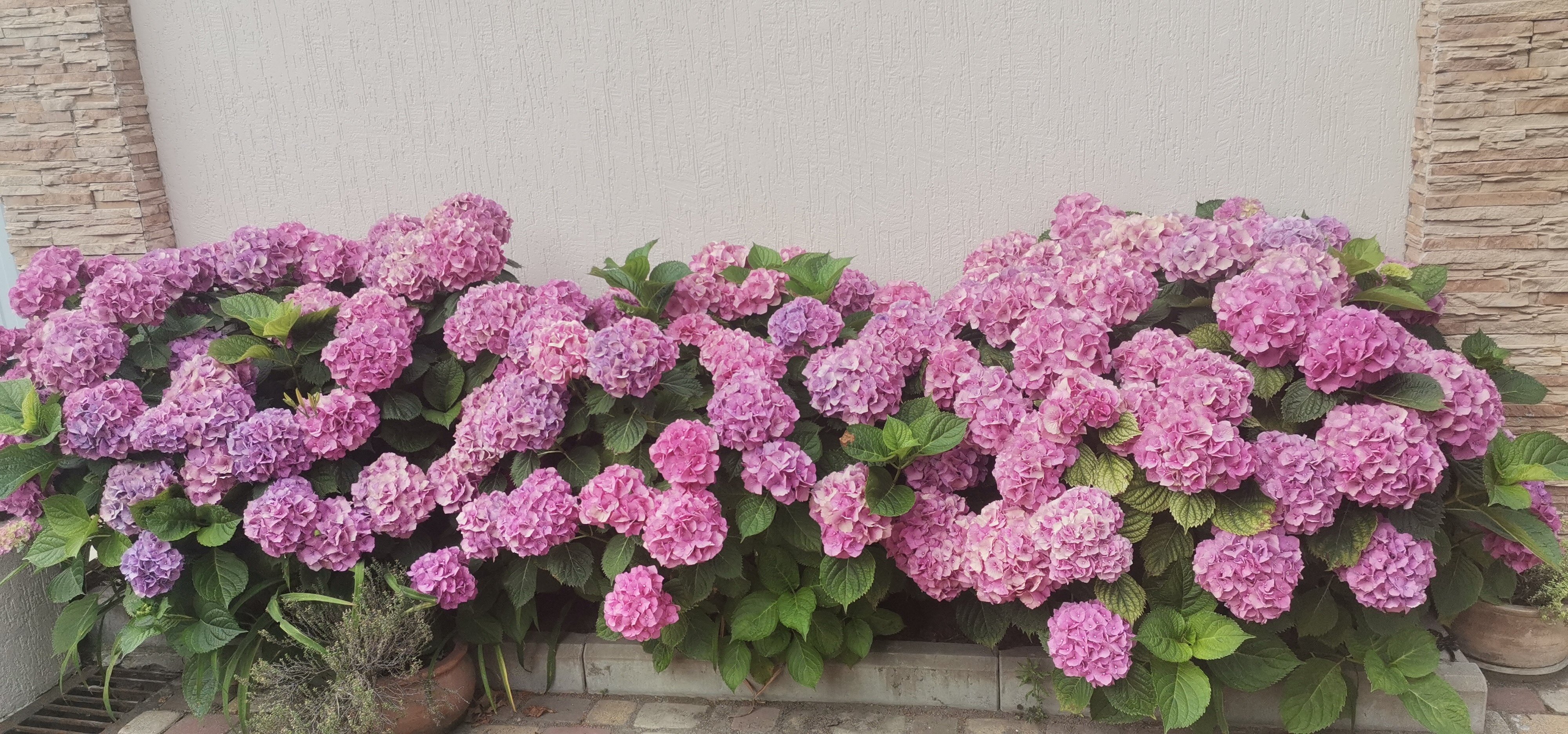 Фото Французский дом