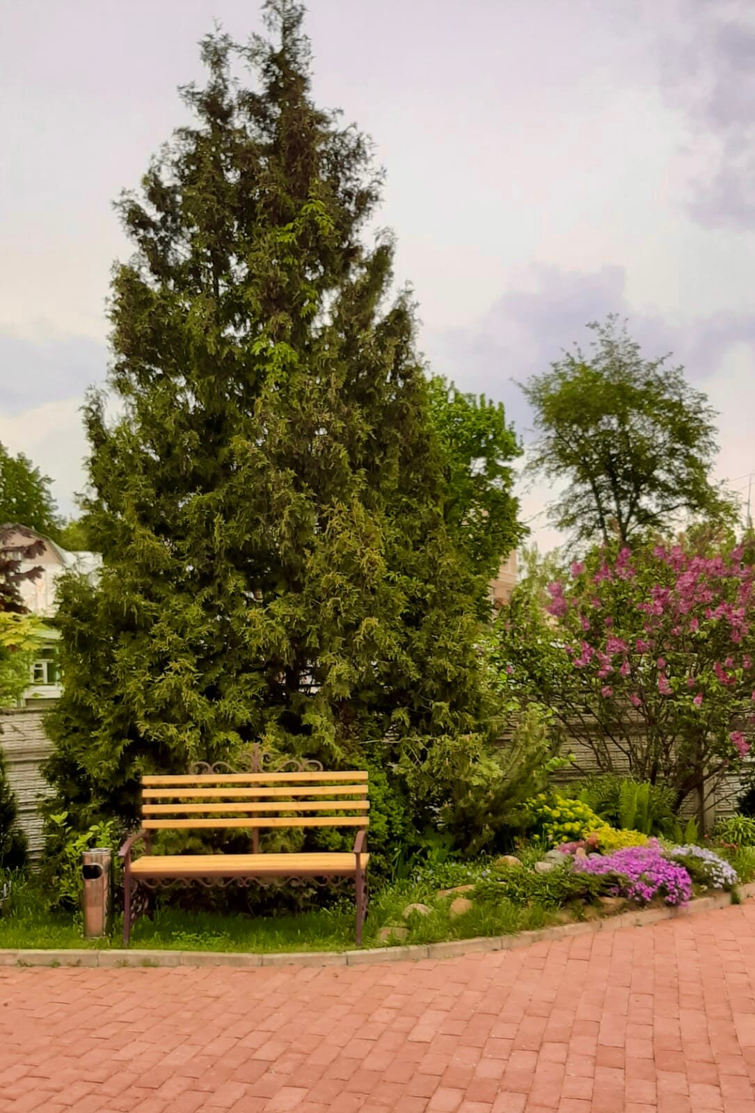 Фото Альберт