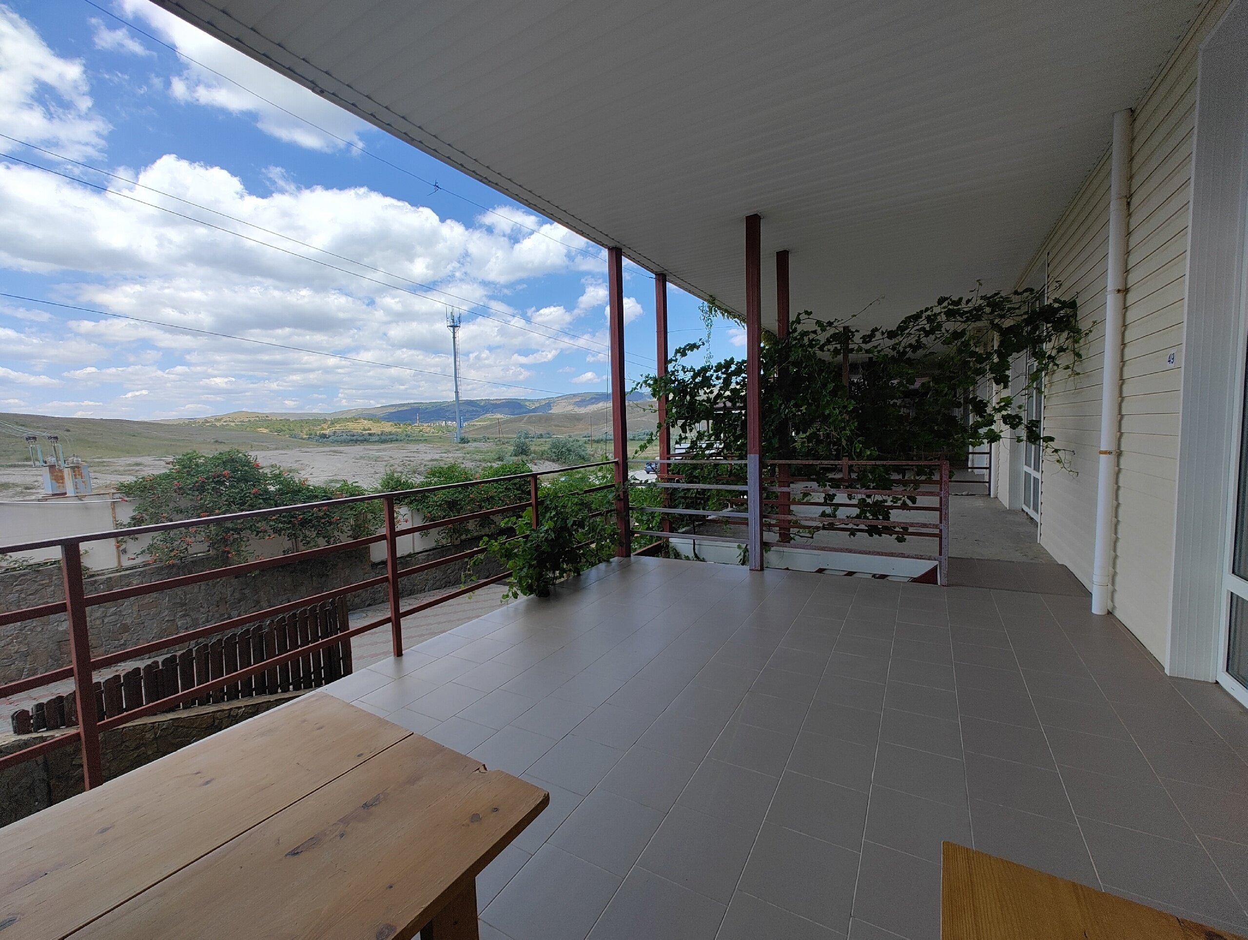 Фото Эллинг у Зои