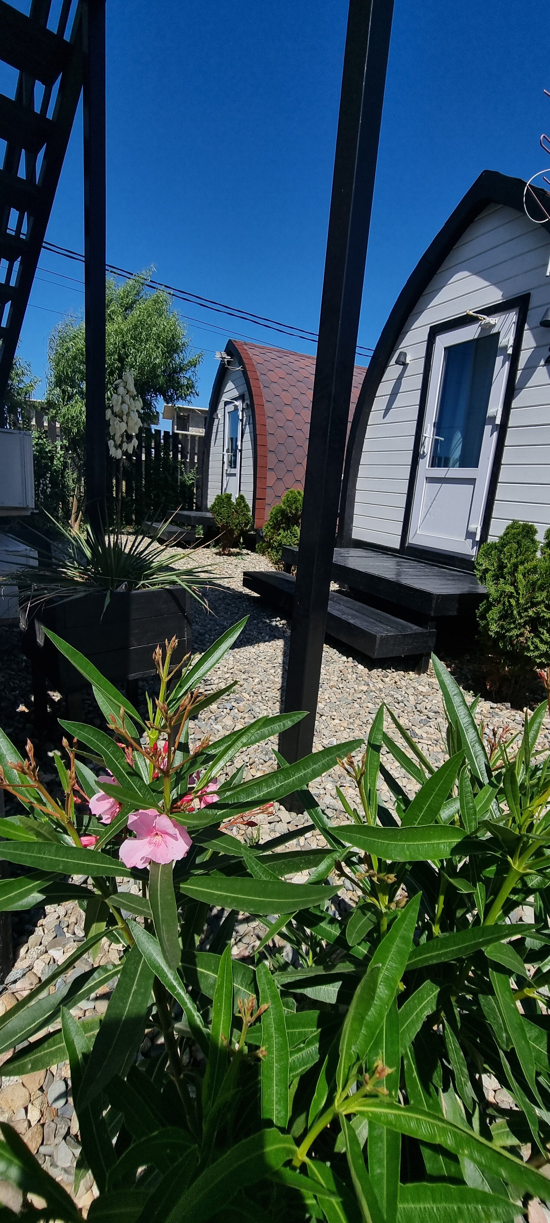 Фото Велбот