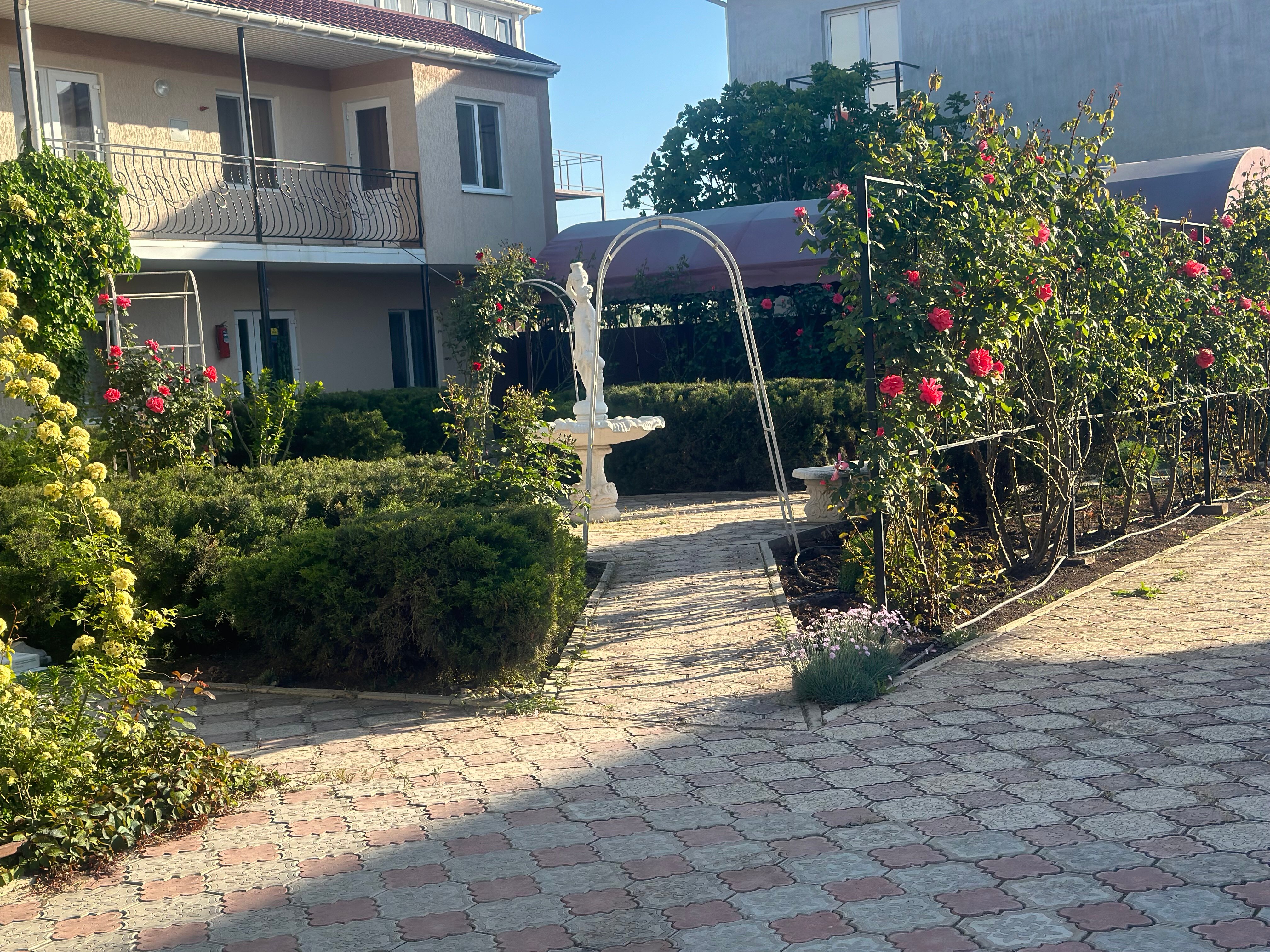 Фото Зелёный дворик