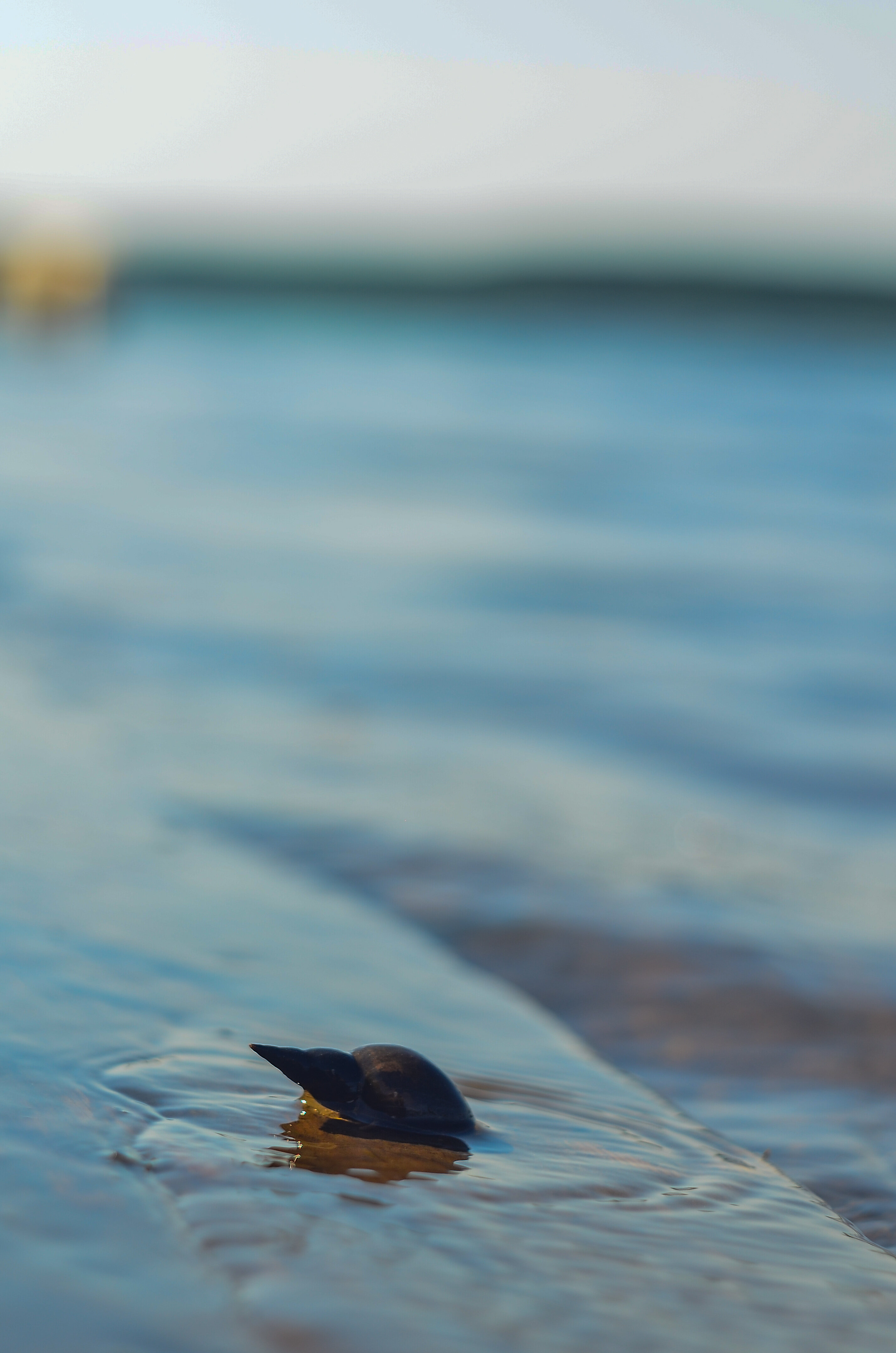 Фото Лестория