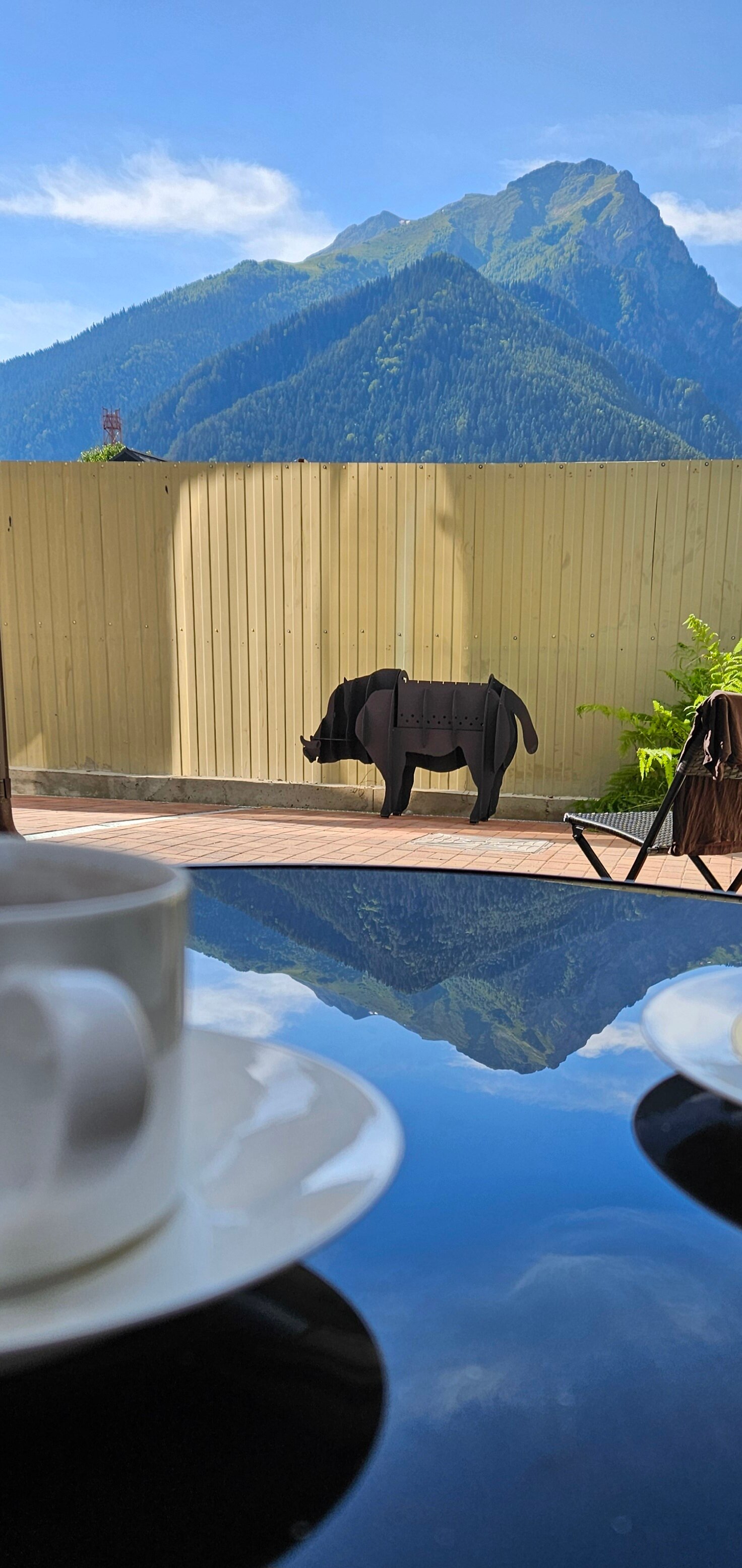 Фото Дариос