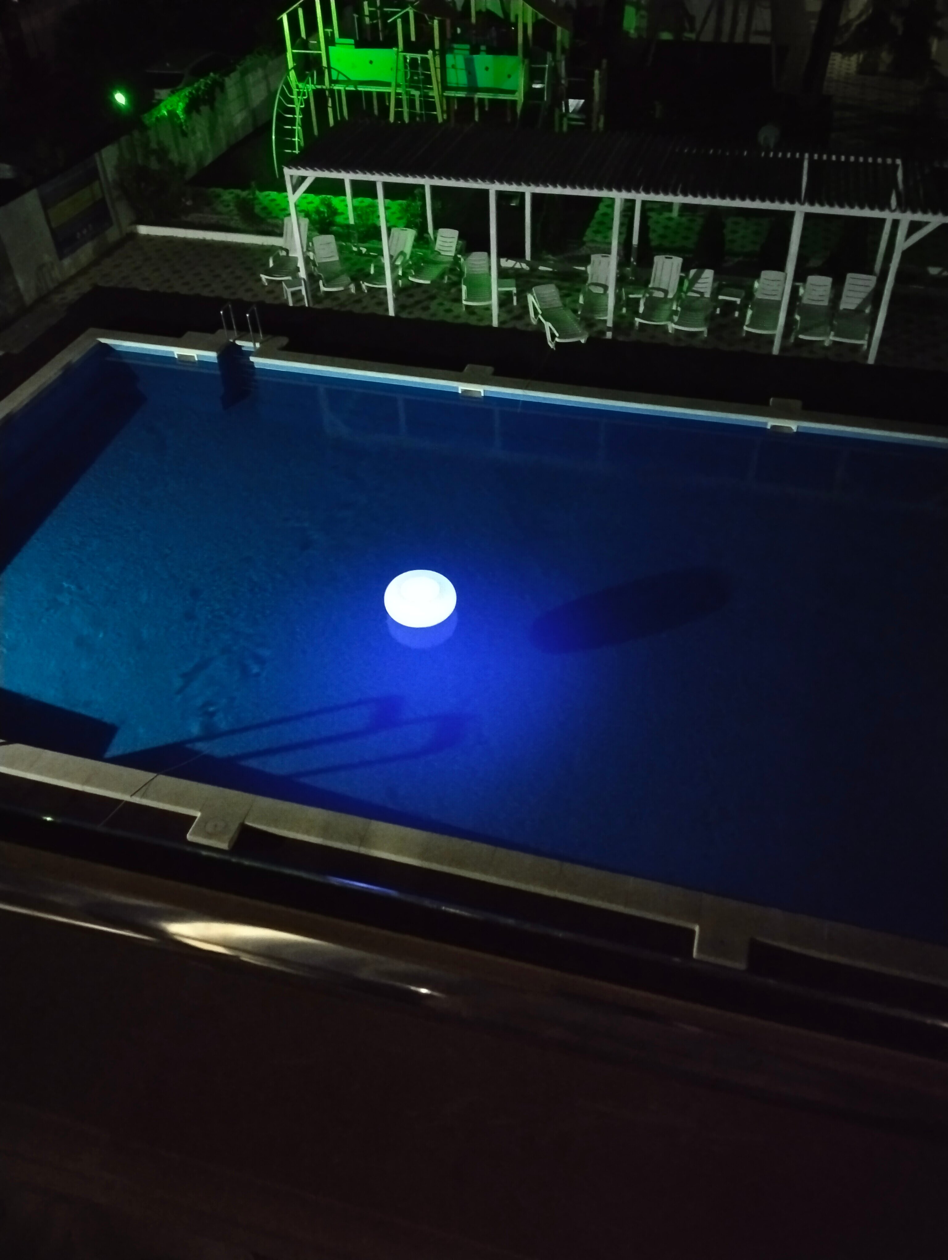 Фото Аммонит