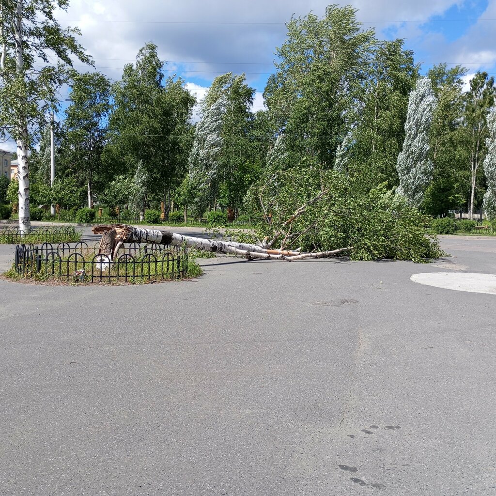 Автомобильная парковка Автомобильная парковка, Северодвинск, фото