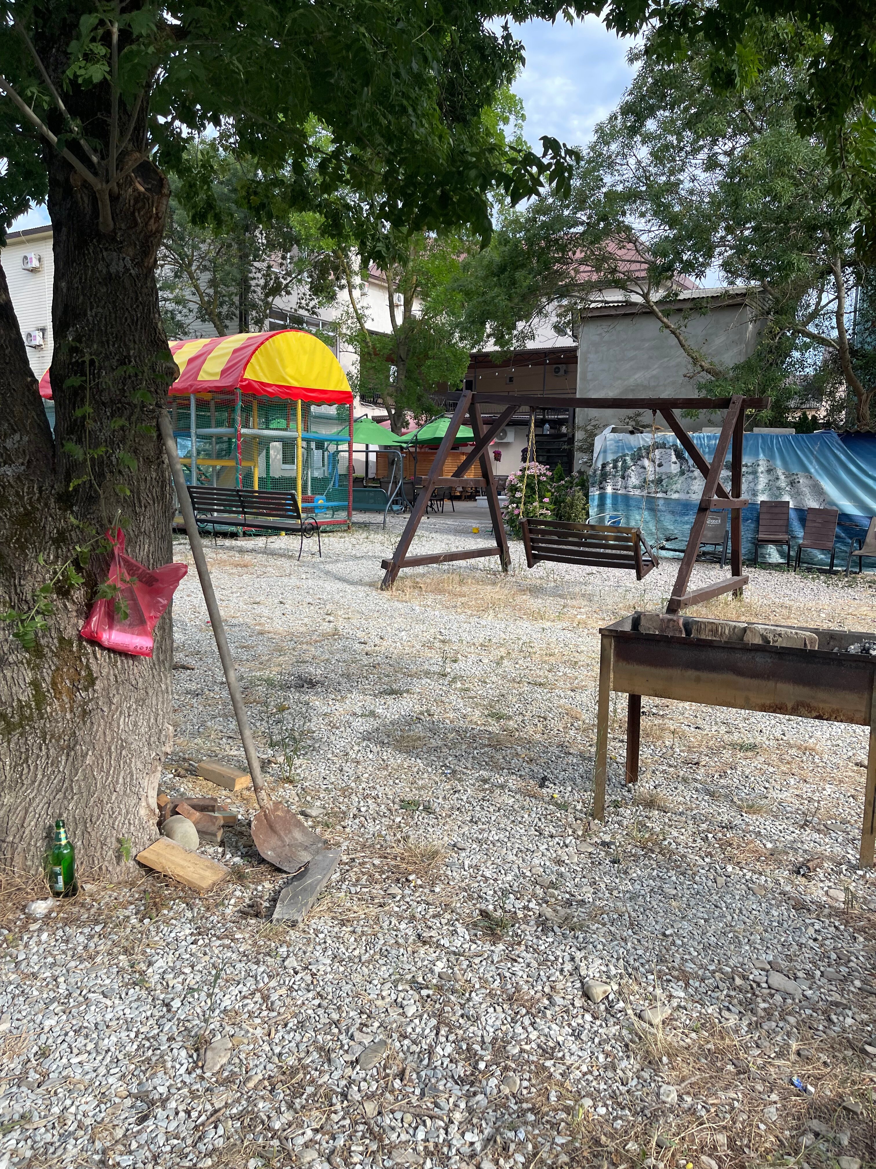 Фото Золотая Лилия