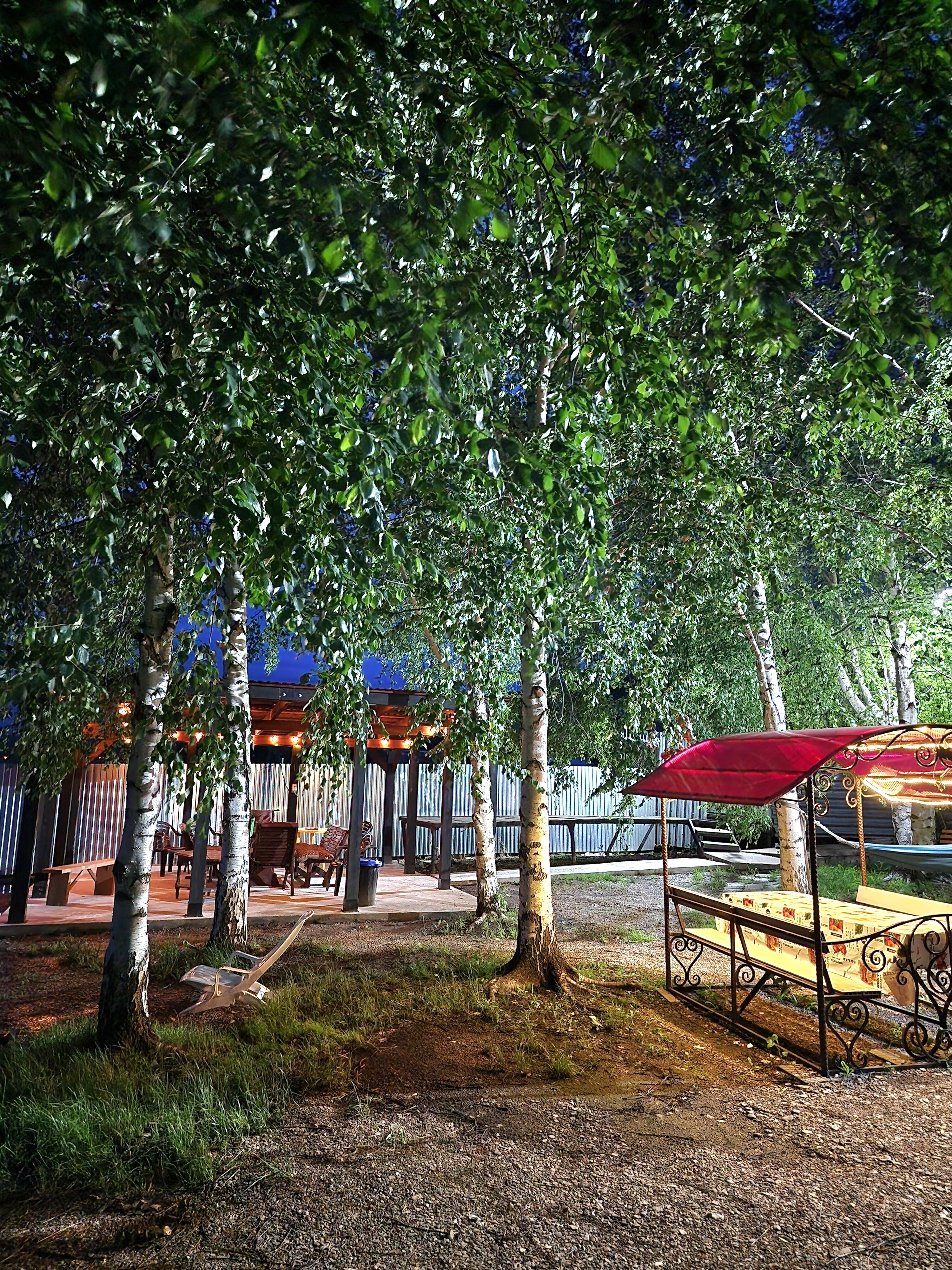 Фото Берёзка Кандрыкуль