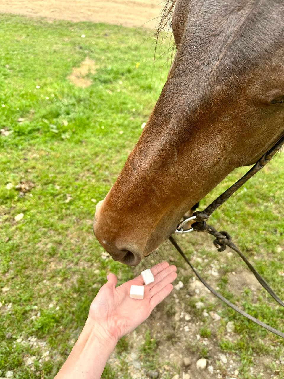 Фото Cube for travel