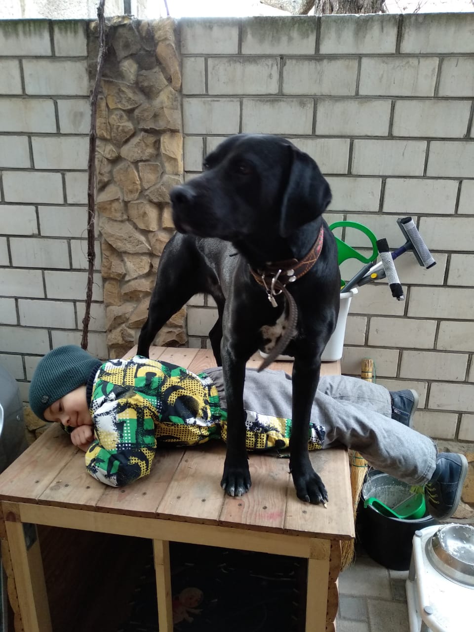 Фото Корвет