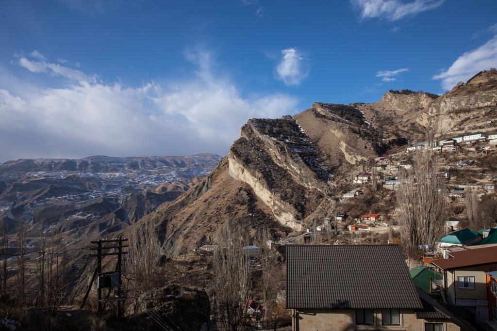 Фото Белые Журавли