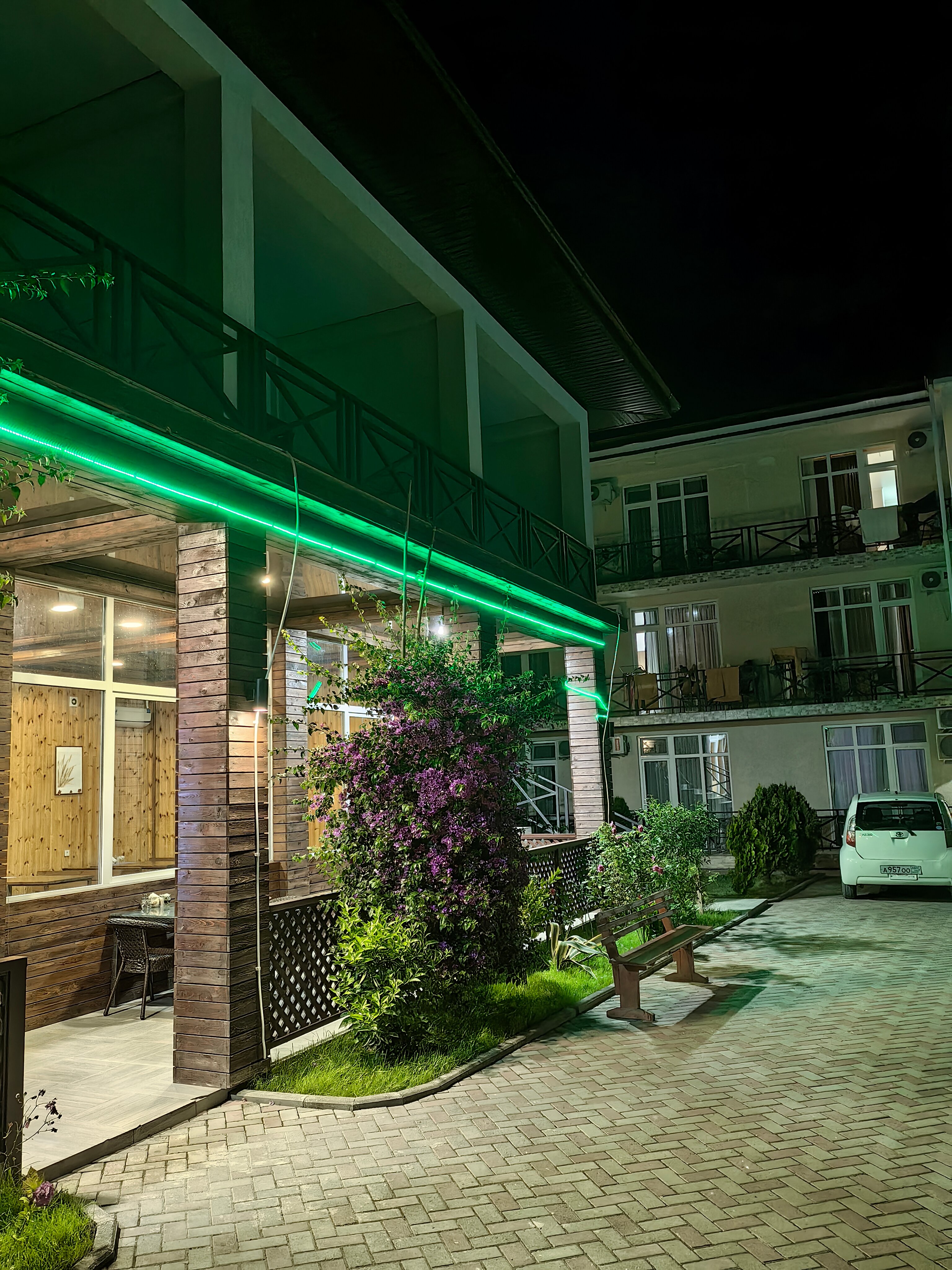 Фото Бугенвиллея