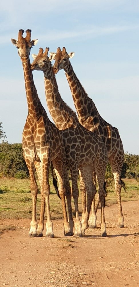 Фото Valley Bushveld Country Lodge