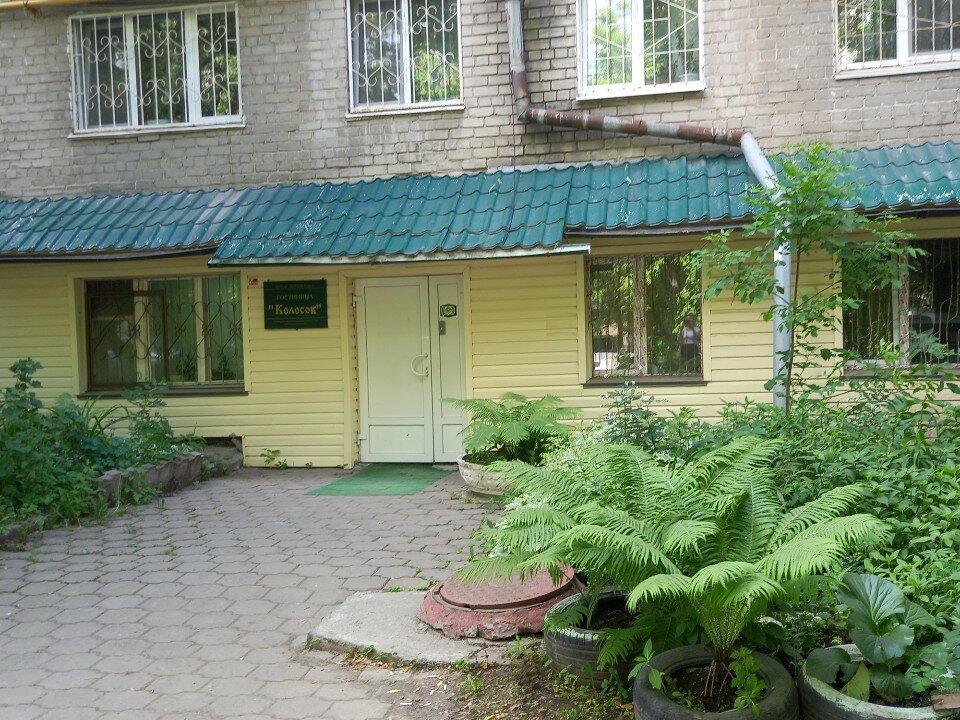 Фото Колосок