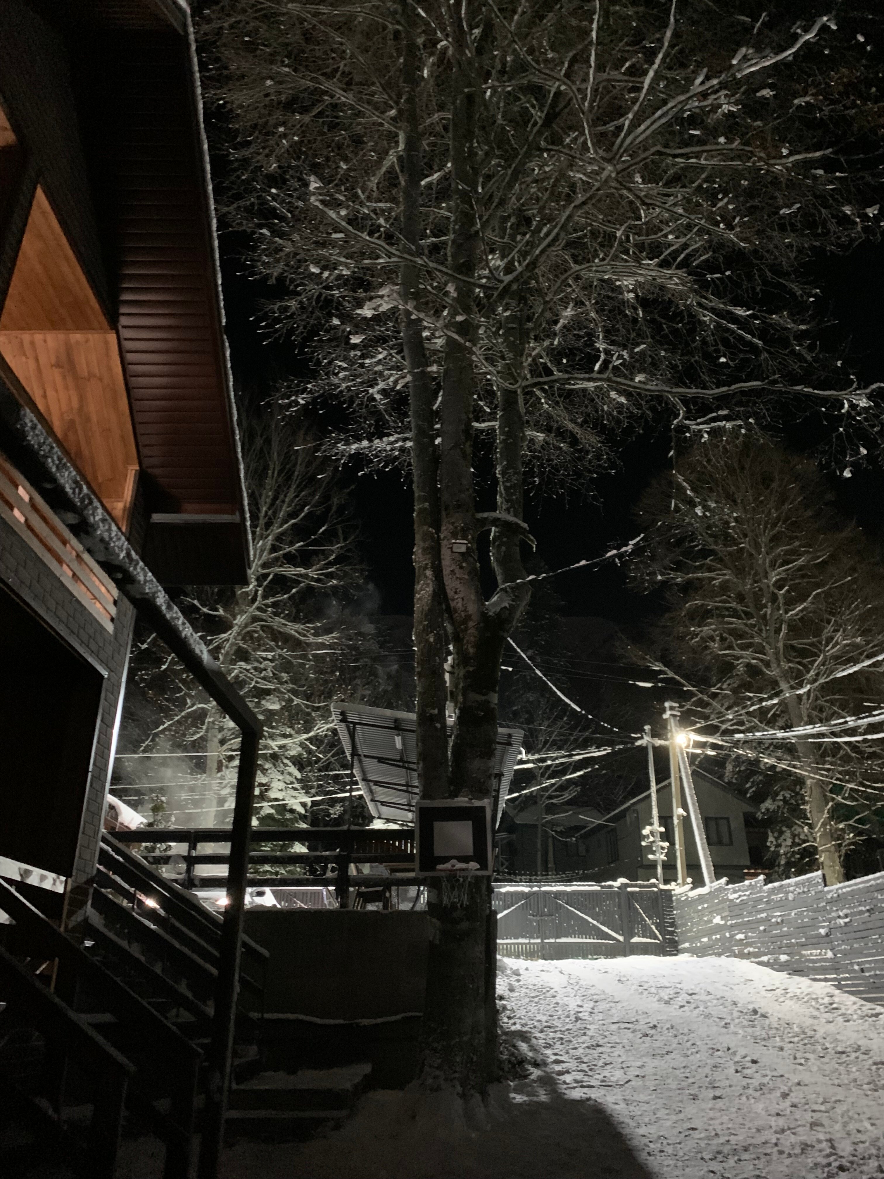 Фото Путник