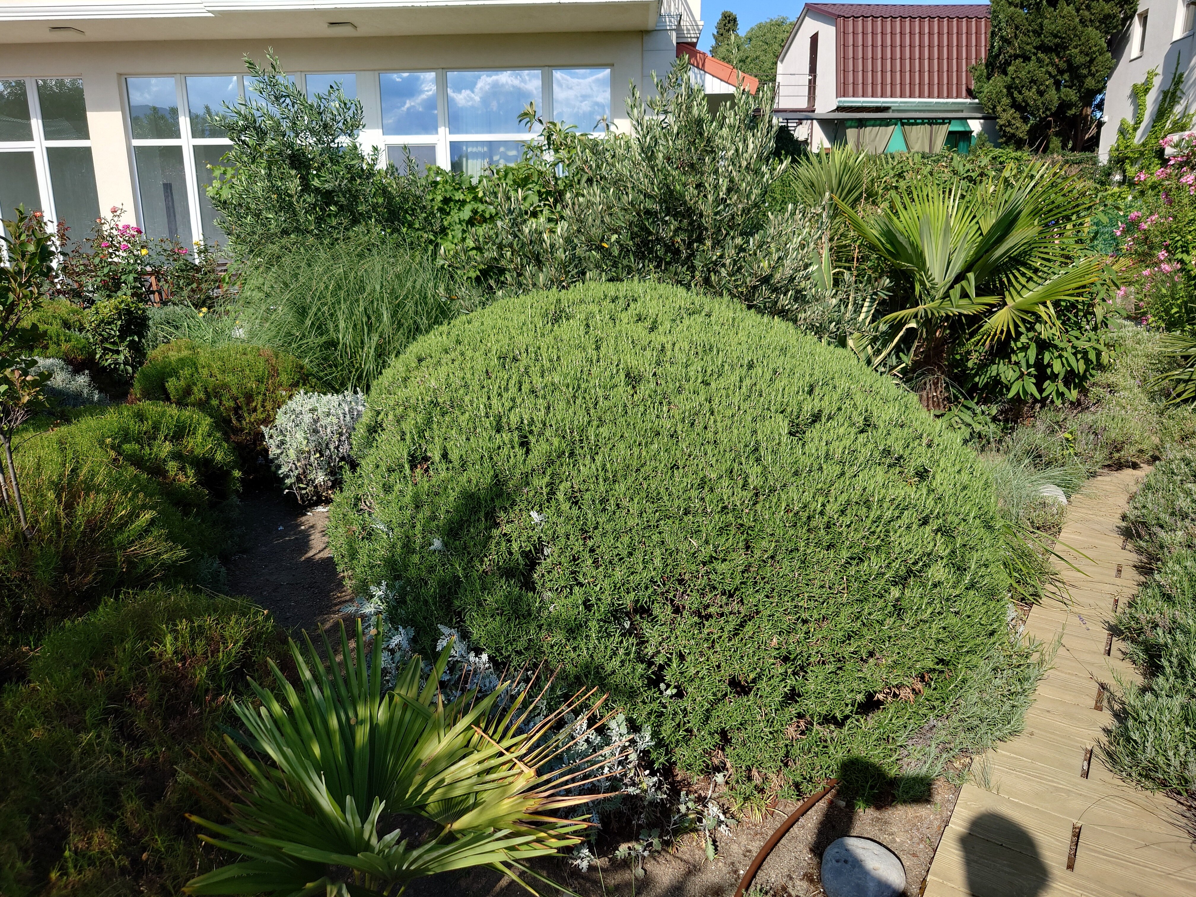 Фото Вилла и Море