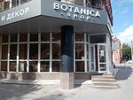 Botanica Shop (Kirova Street, 32), flower shop