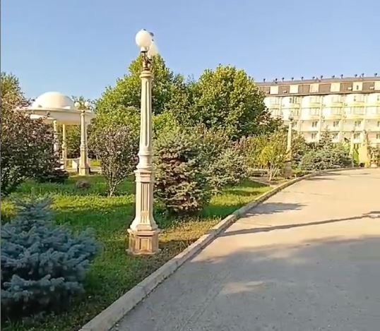 Фото Журавли