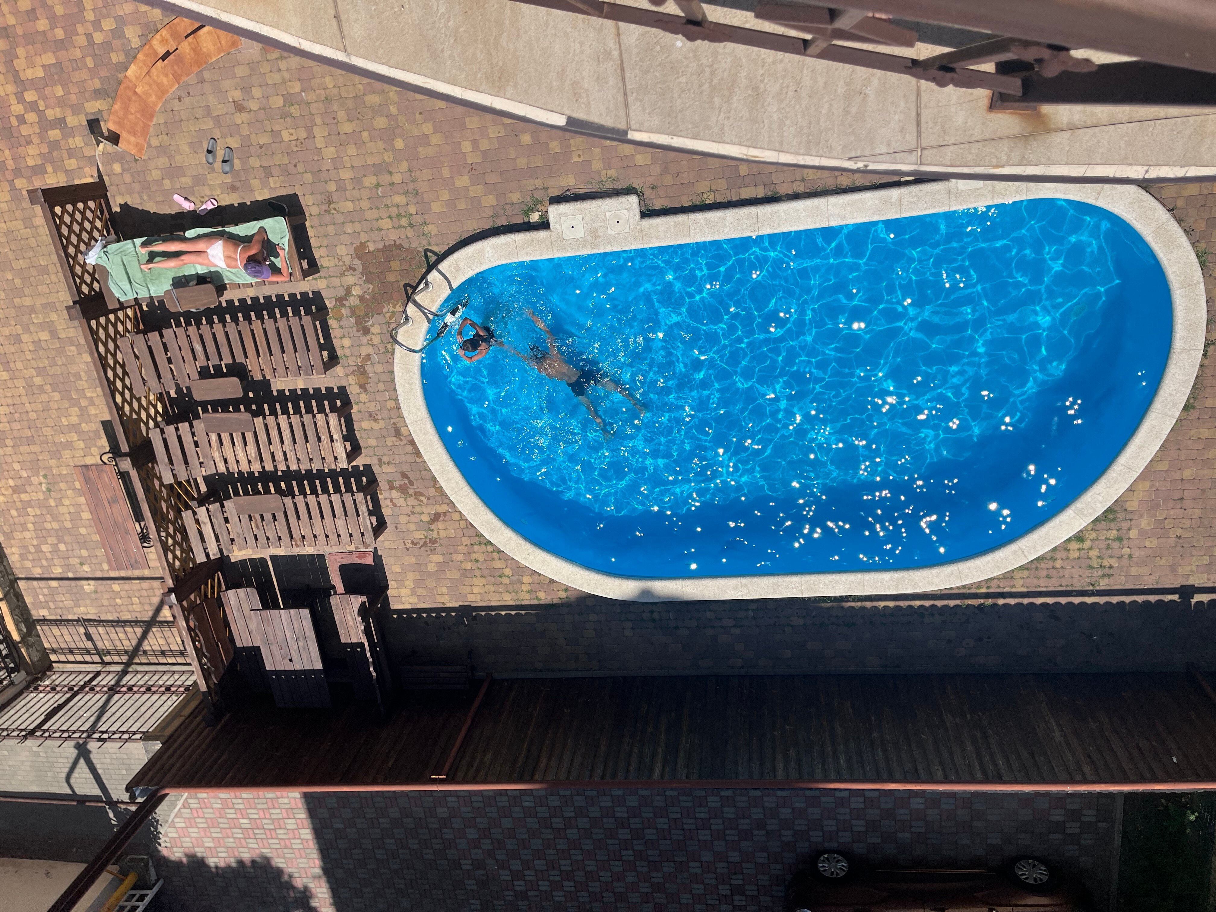 Фото Жар-птица