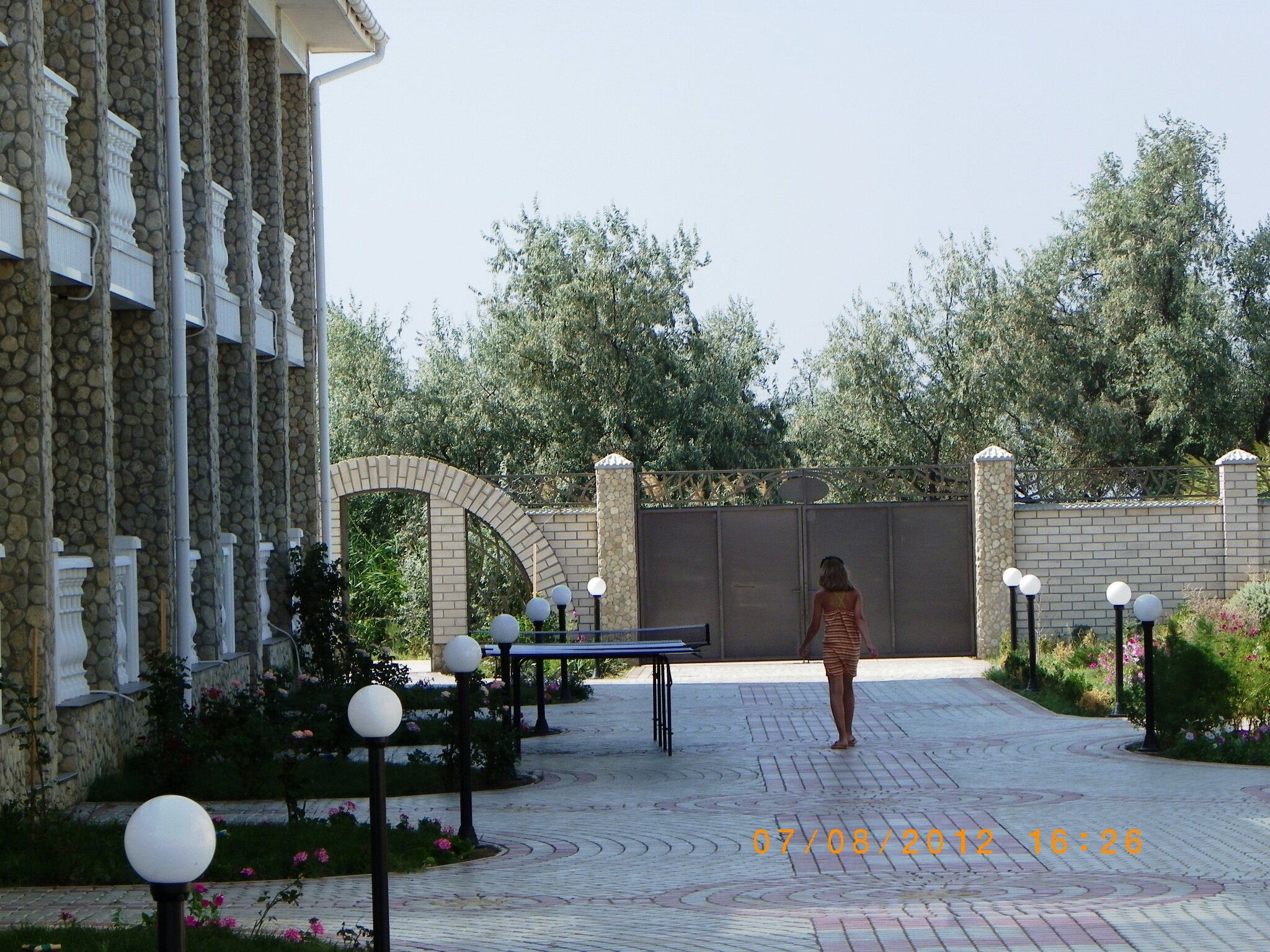 Фото Альбатрос