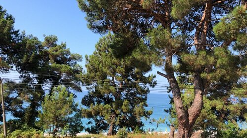 Гостевой дом Sauchi в Цандрыпше