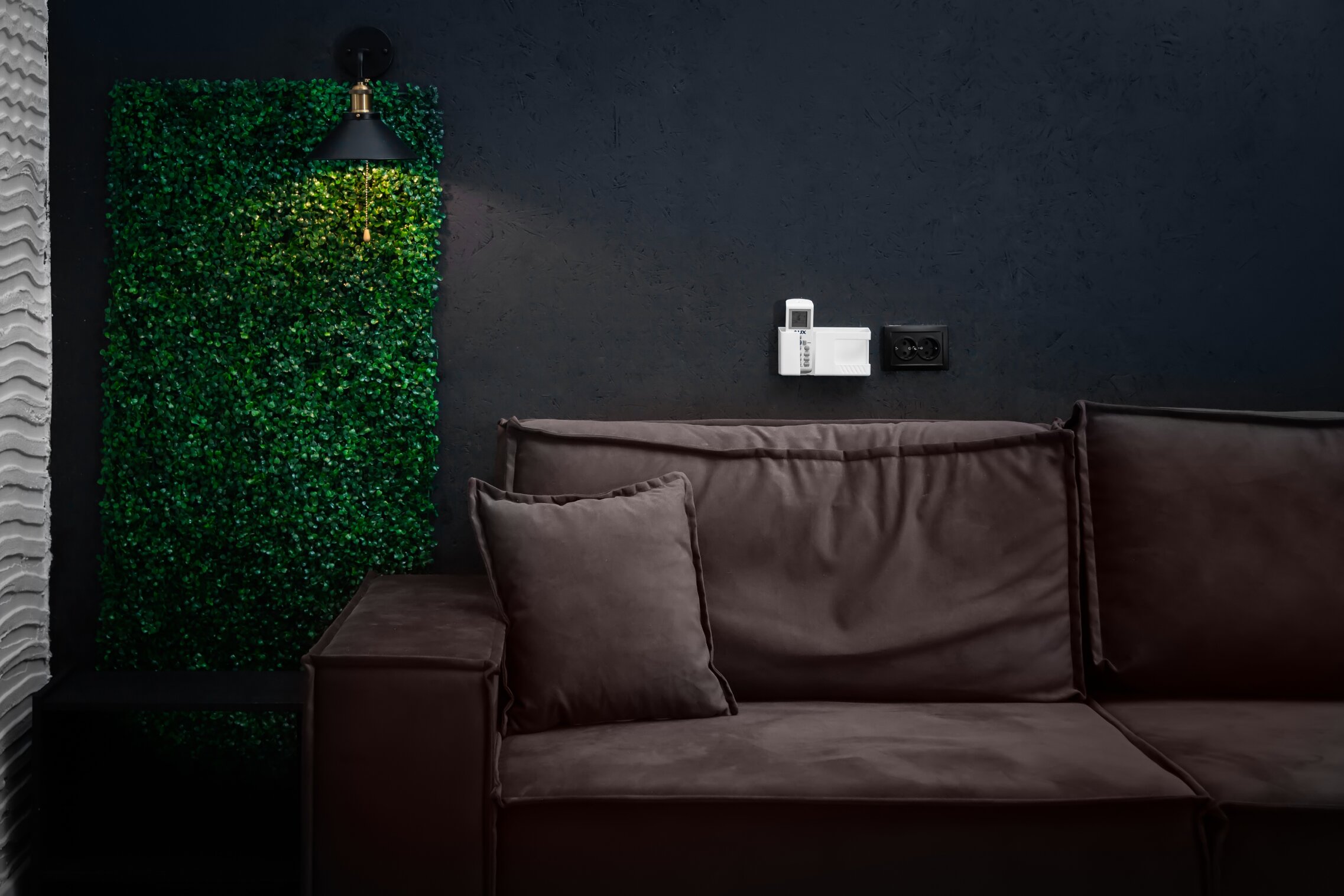 Фото Ситара