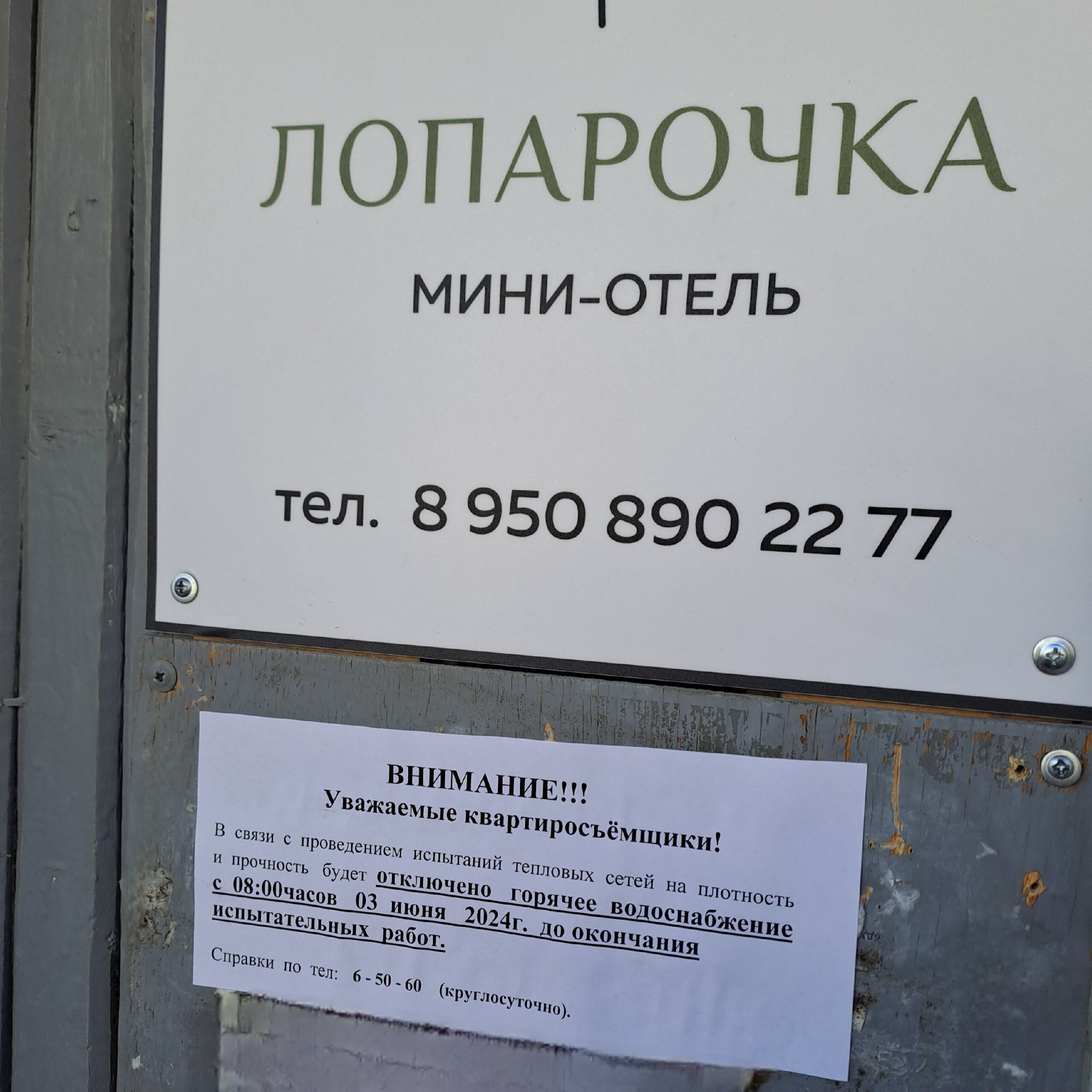 Фото Лопарочка