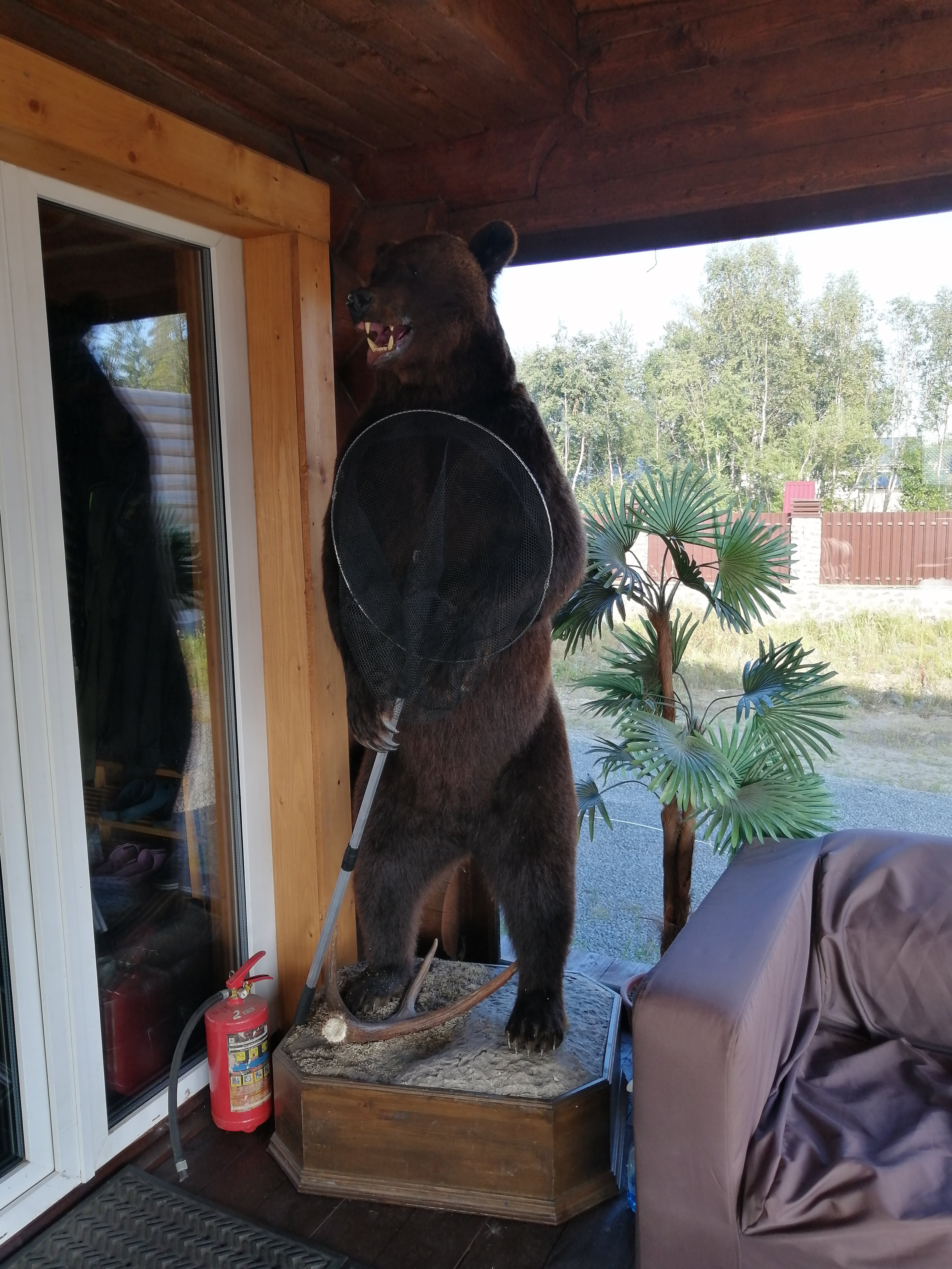 Фото Лахта&Ярви