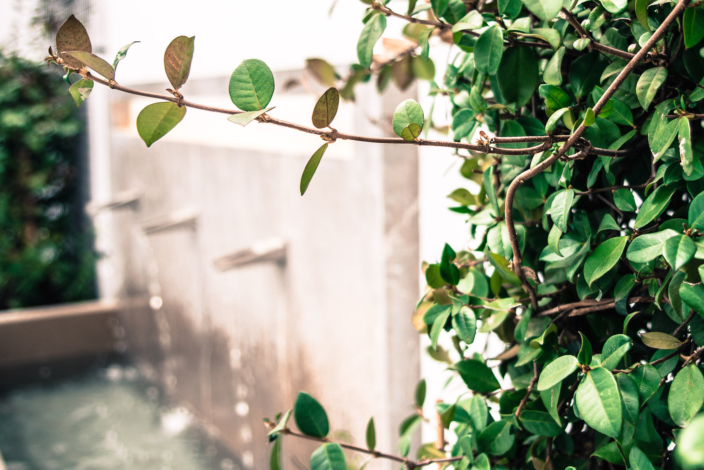 Фото Apartamentos Campo del Príncipe